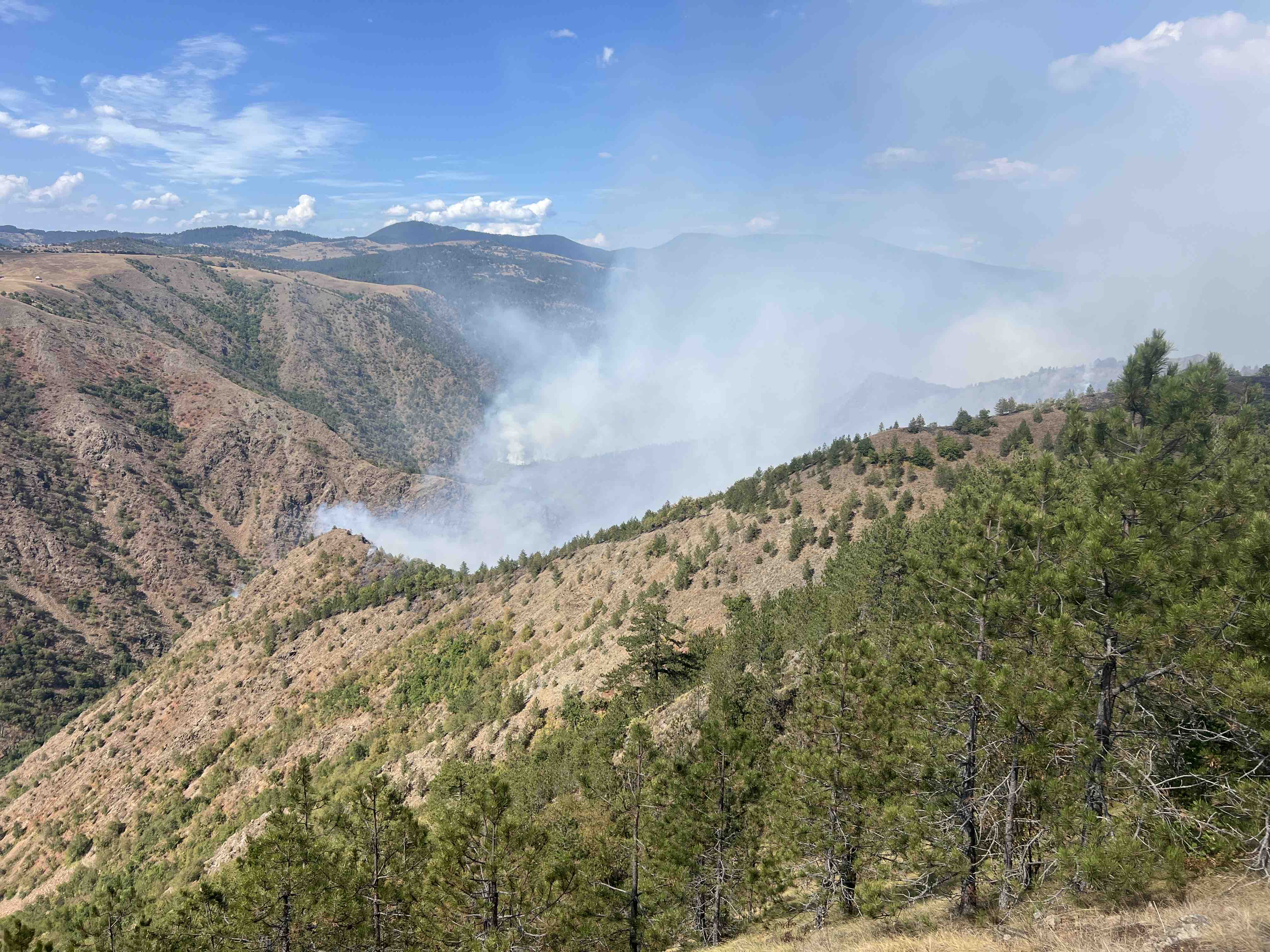 poslala slavica panić