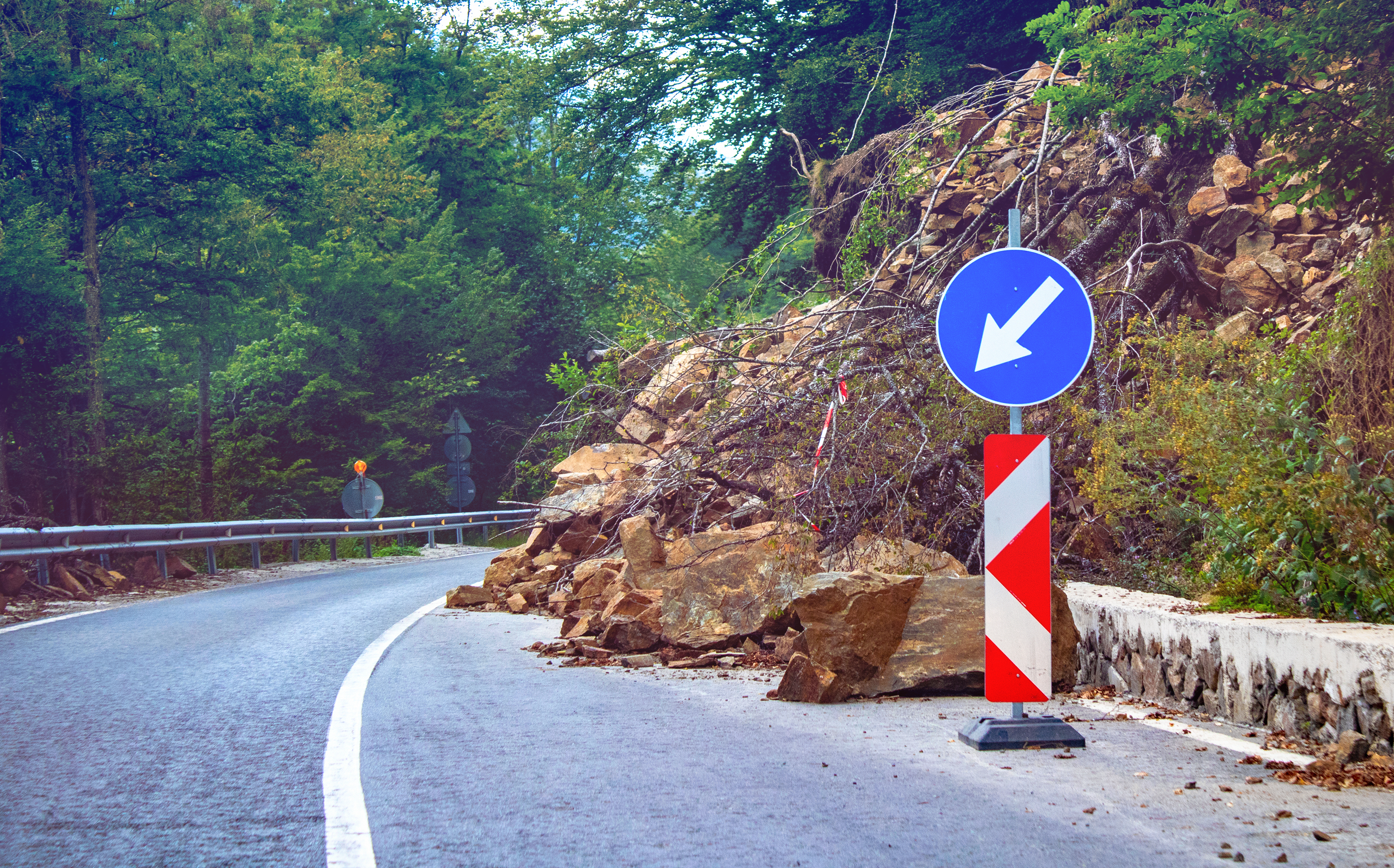 shutterstock_1227056869