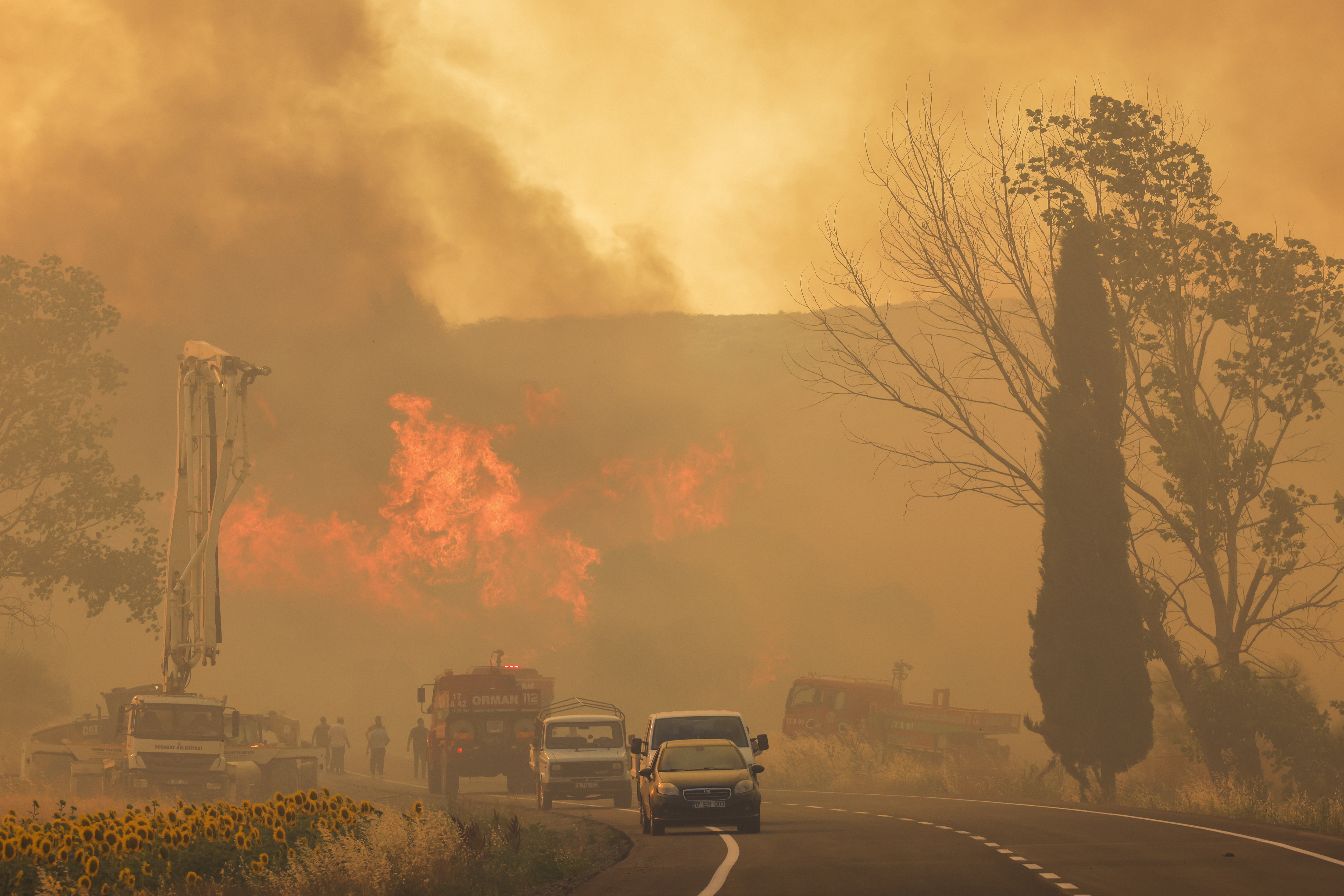 Turkey Fires