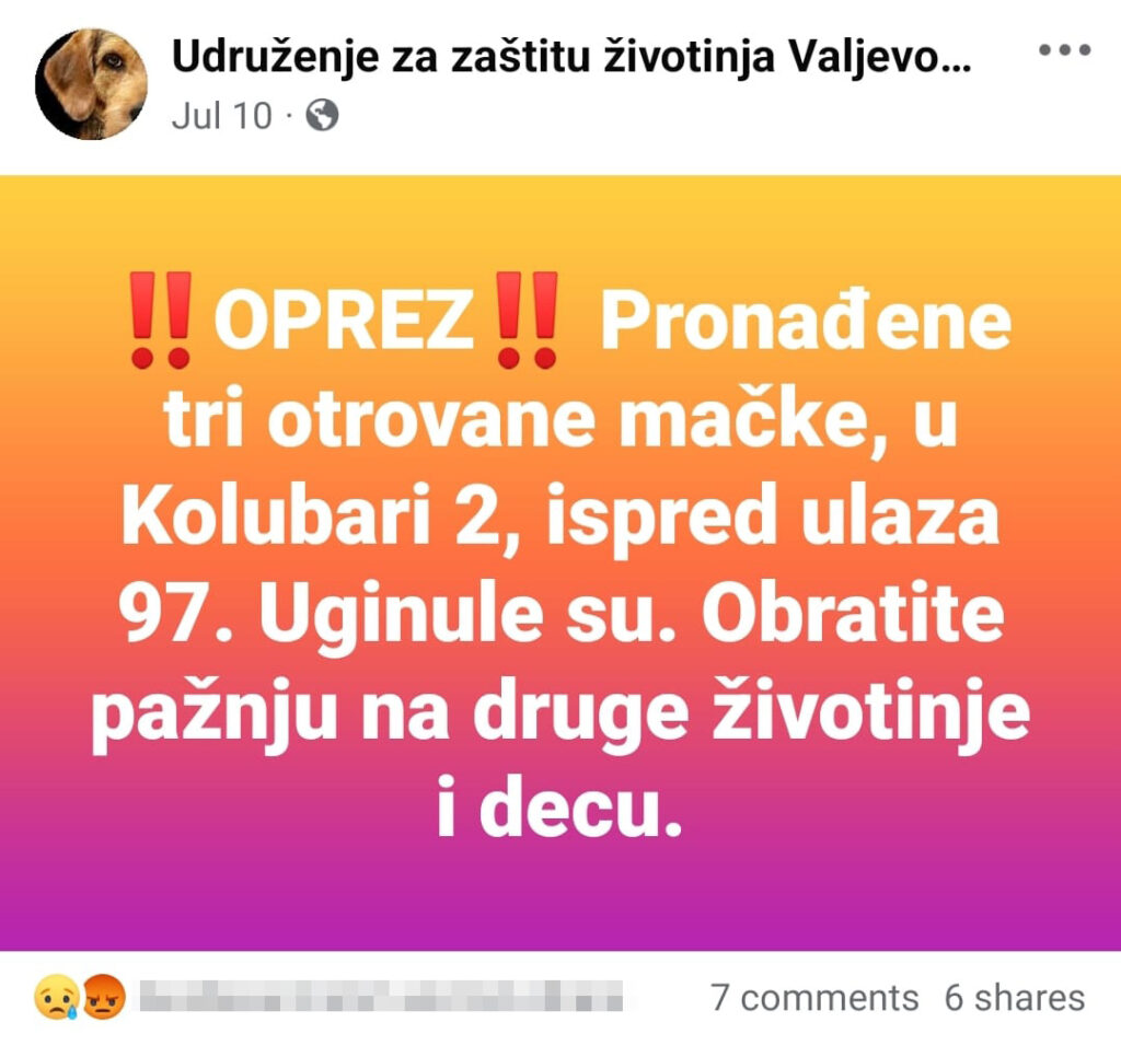 Pas koji je otrovan, udruzenje za zastitu zivotinja valjevo, trovanje pasa u valjevu... zena kojoj su otrovali psa mi je poslala slike