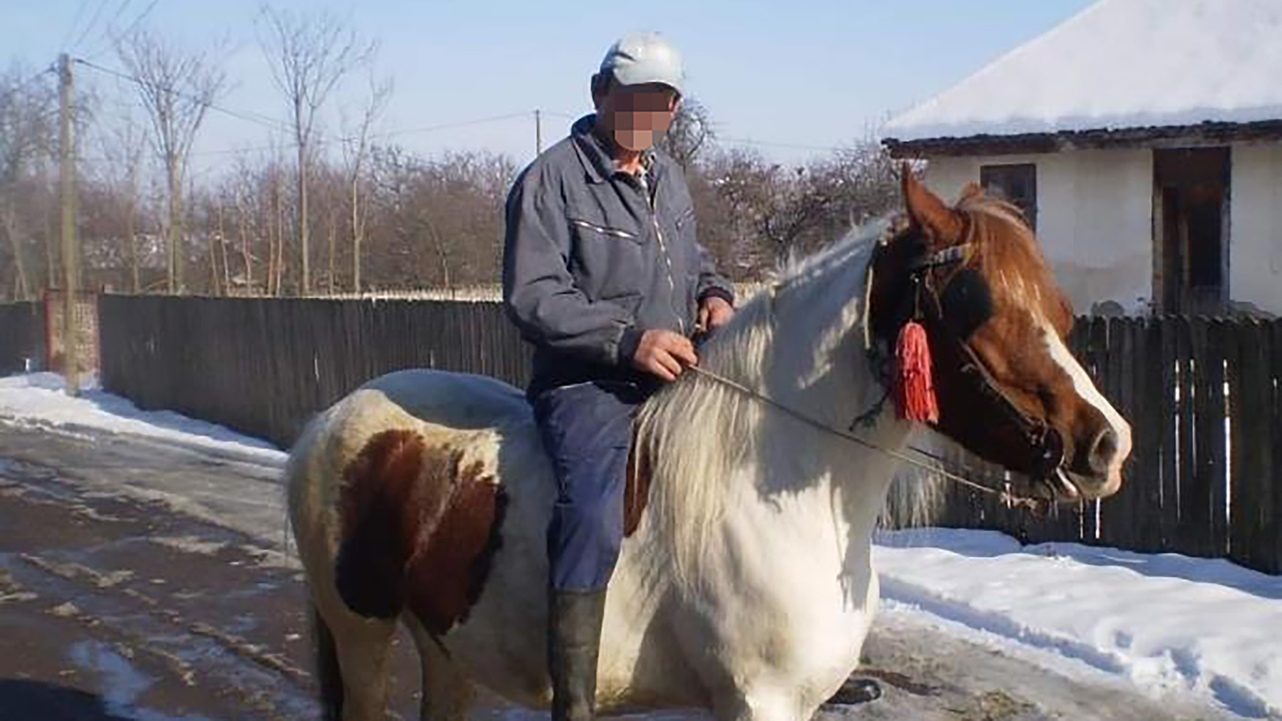 Društvene Mreže Predrag Ivanović koji je ubio suprugu, a potom presudio sebi