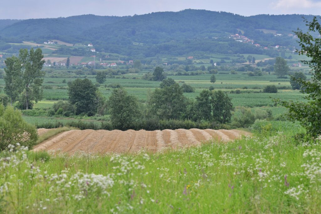Gornje Nedeljice 28.06.2024. Marš na Drinu, Ne damo Jadar, Rio Tinto, litijum. Kreni Promeni pešačenje do Gornjih Nedeljica, Gornje Nedeljice Foto: Goran Srdanov/Nova.rs