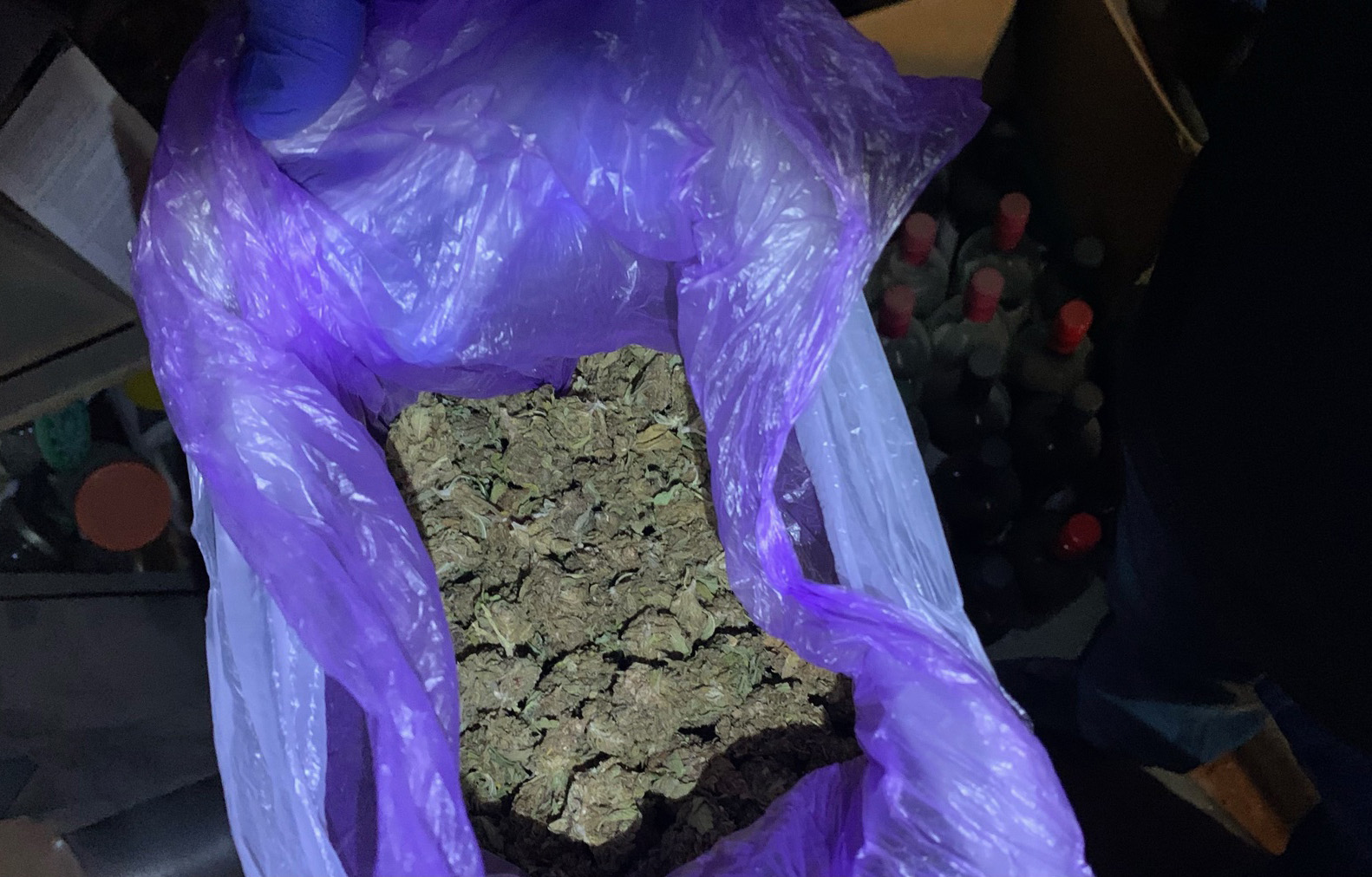 Sombor, marihuana, droga, zaplena,