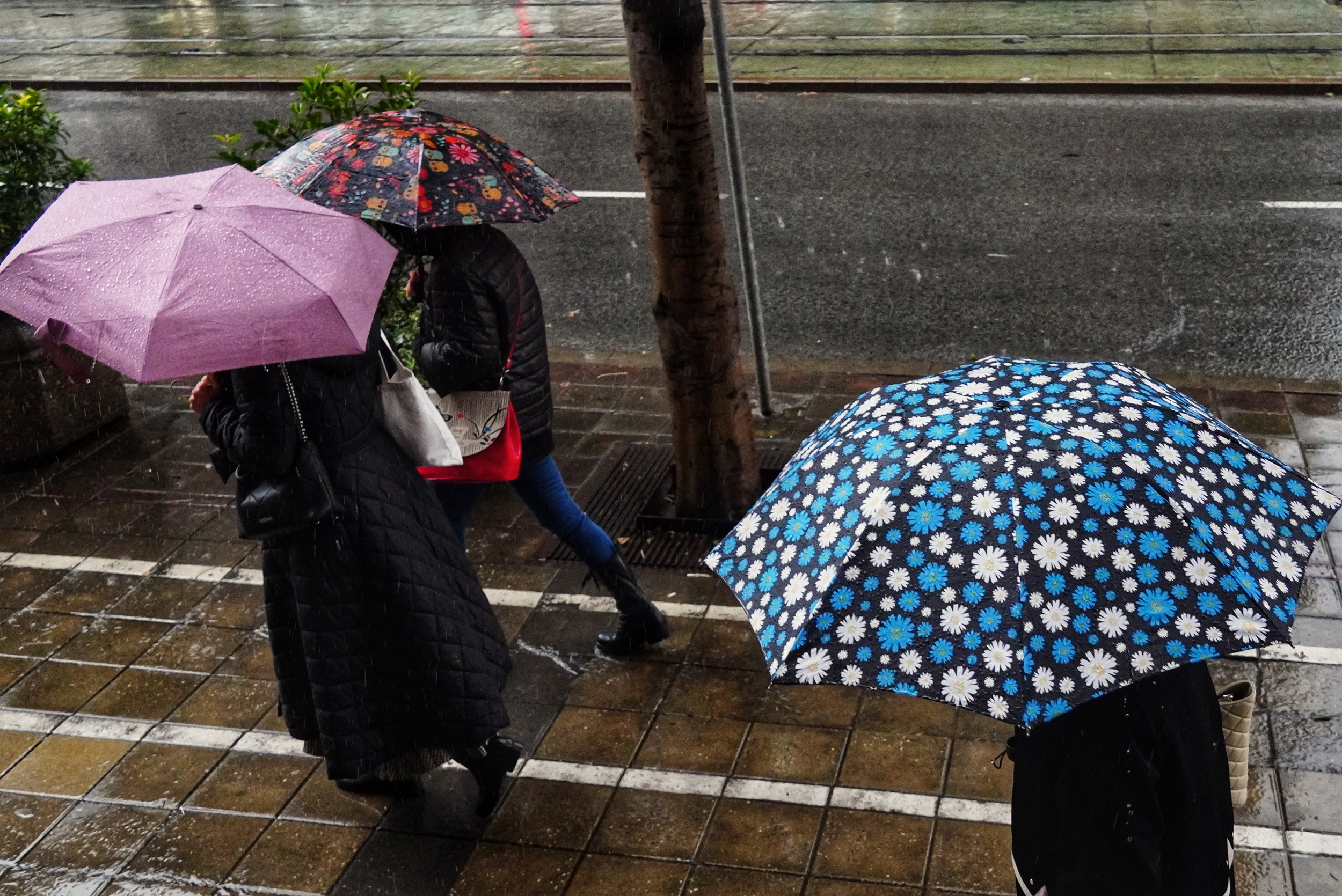 Beograd, 16. septembra 2024.- U Beogradu danas oblačno i hladno, povremeno sa kišom. Vetar slab i umeren, zapadni, posle podne u skretanju na jugozapadni pravac. Najniža temperatura oko 9, a najviša oko 15 stepeni. FOTO TANJUG/ VLADIMIR ŠPORČIĆ/ nr