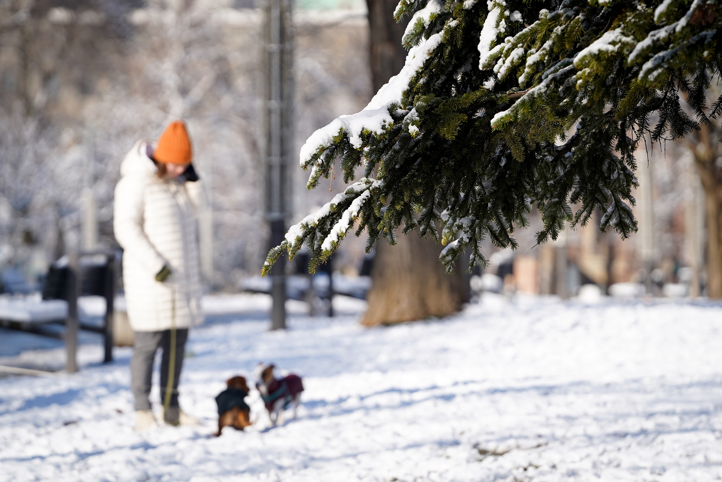 PARK TAŠMAJDAN POD SNEGOM