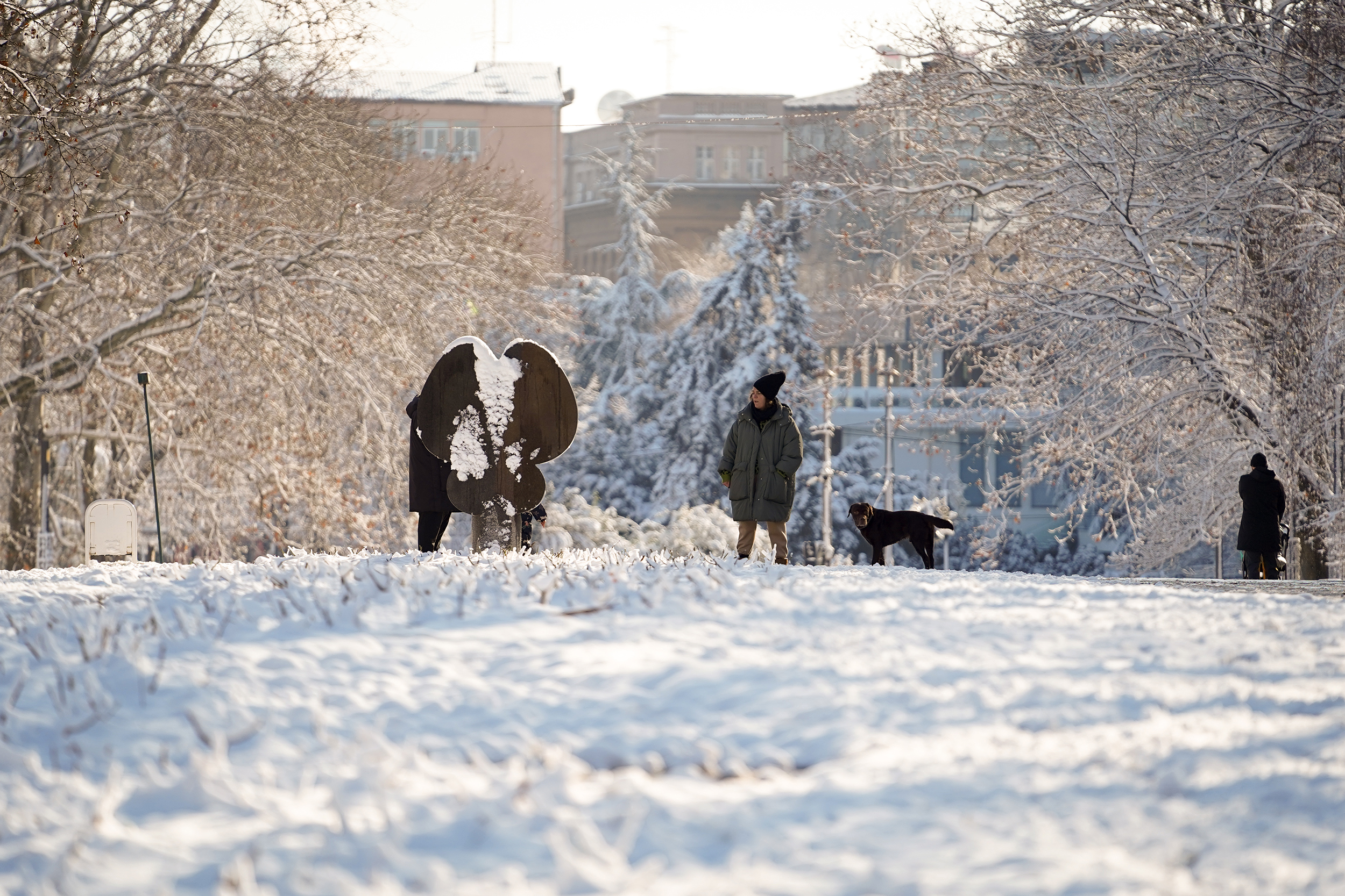 PARK TAŠMAJDAN POD SNEGOM