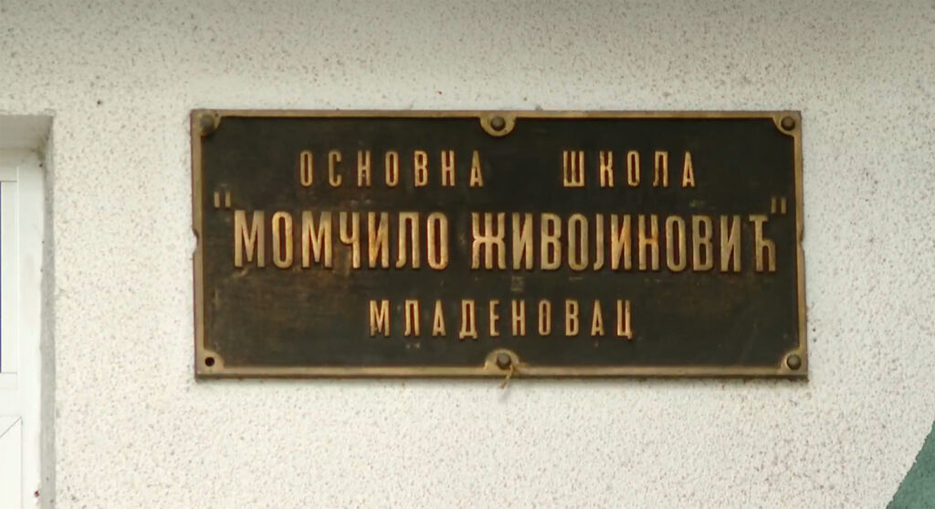 Jovan Vukobrat iz Mladenovca, pretucen u osnovnoj školi, majka Tamara Vukosavljević