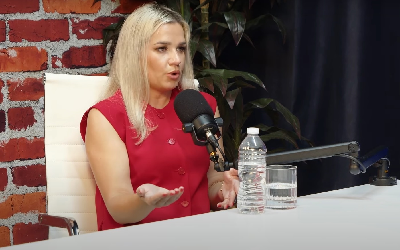 Kristina o životu Srba u Čikagu Foto: YouTube / Only In America With Mina