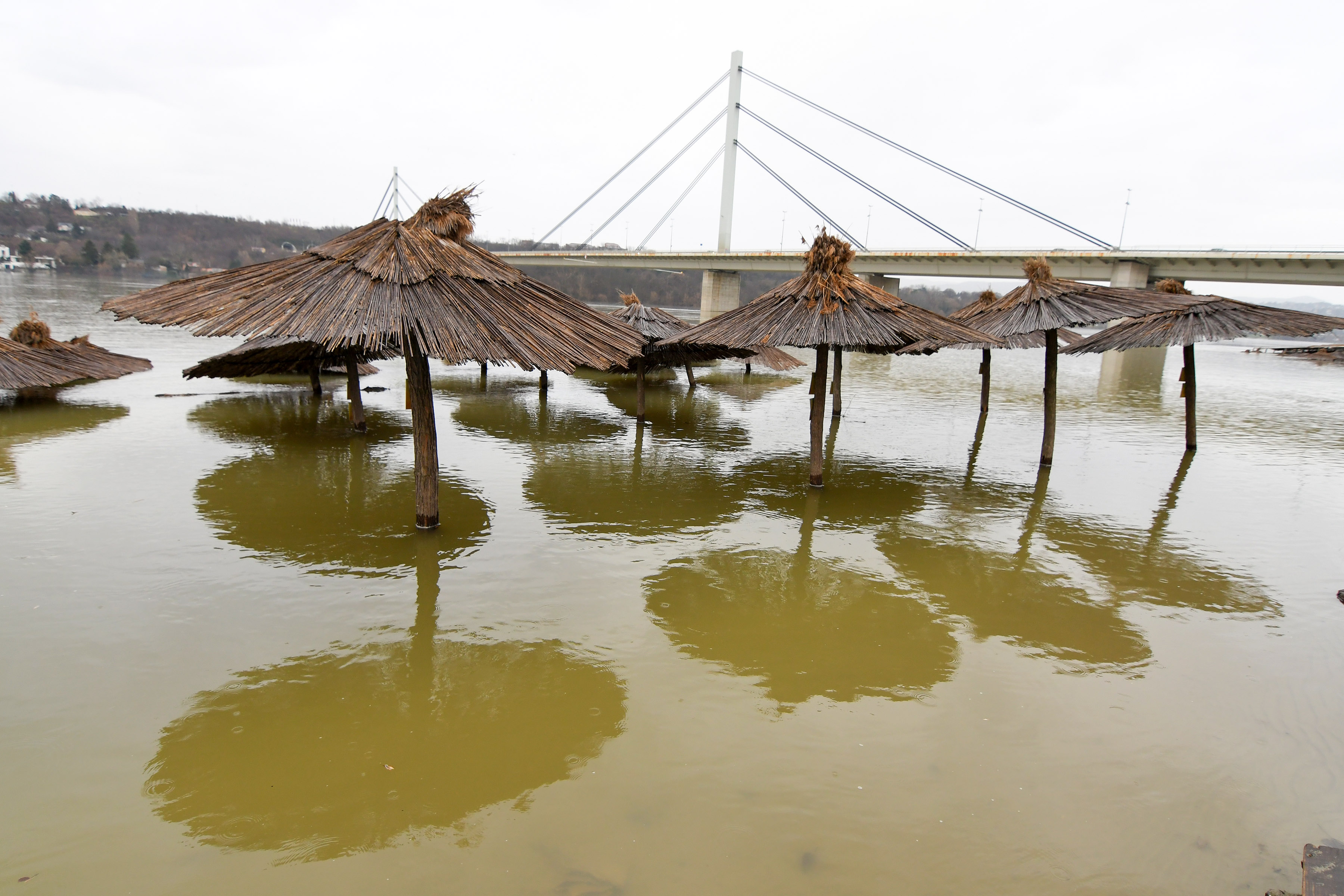 Novi Sad, 3. januara 2024. - Visok vodostaj Dunava kod Novog Sada. FOTO TANJUG/ NENAD MIHAJLOVIÆ/ bs