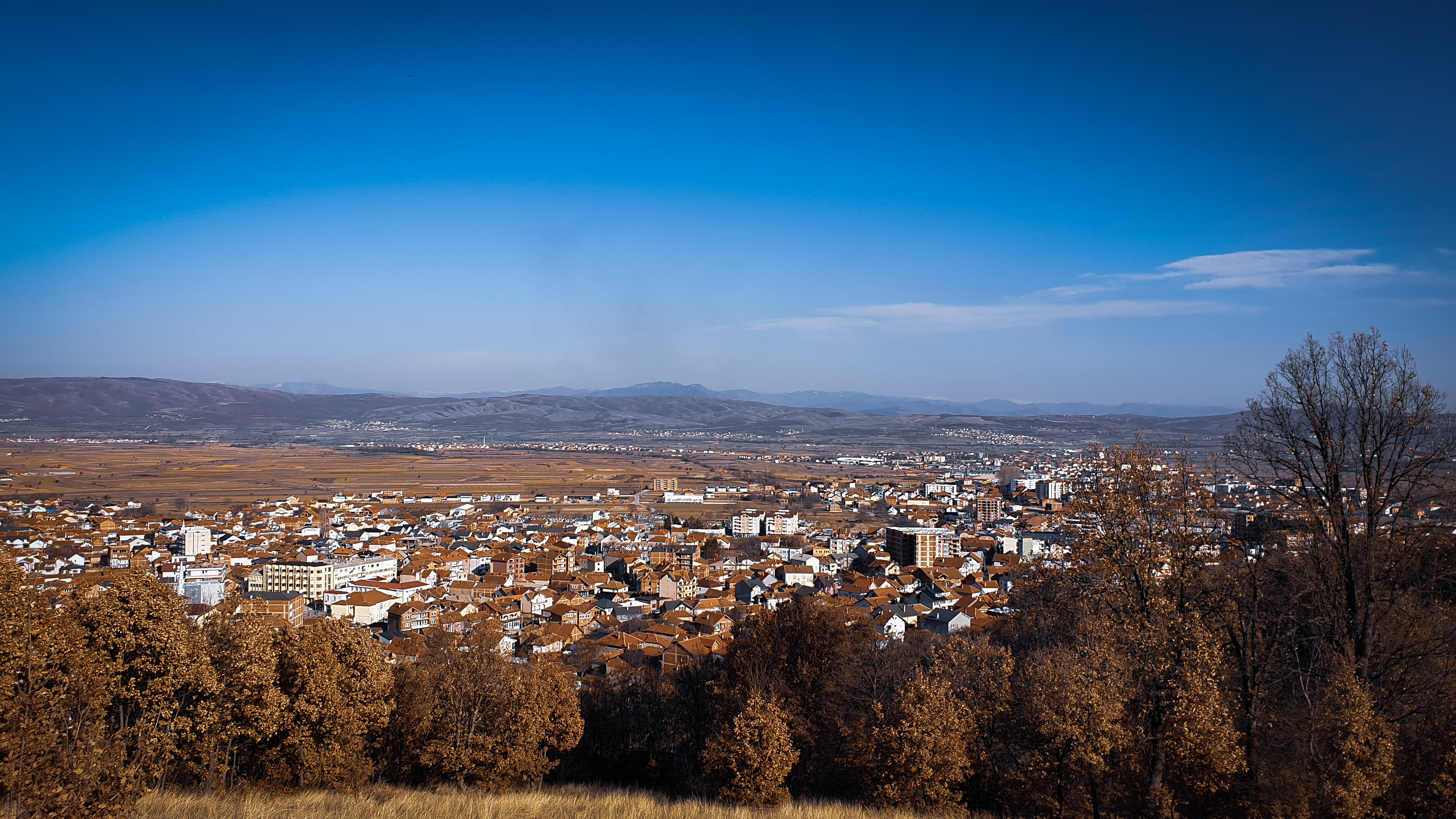 shutterstock_1326042923