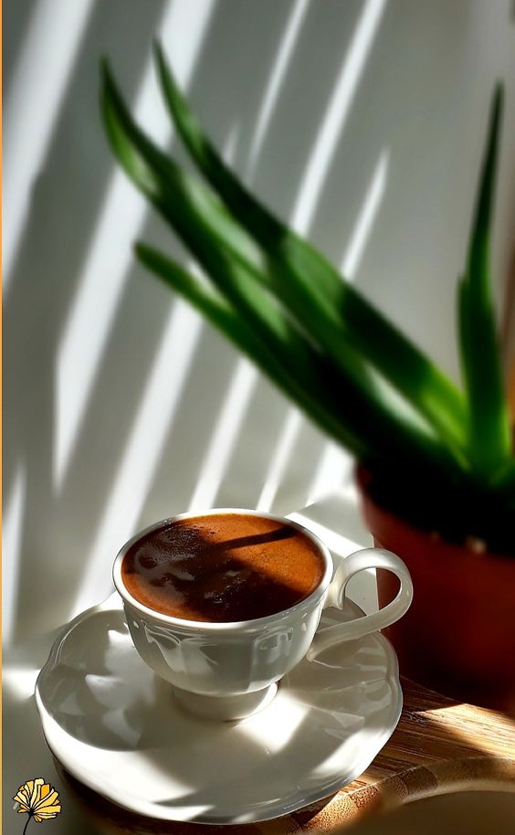 Nejtive benefiti Kafe, PR tekst, kafa