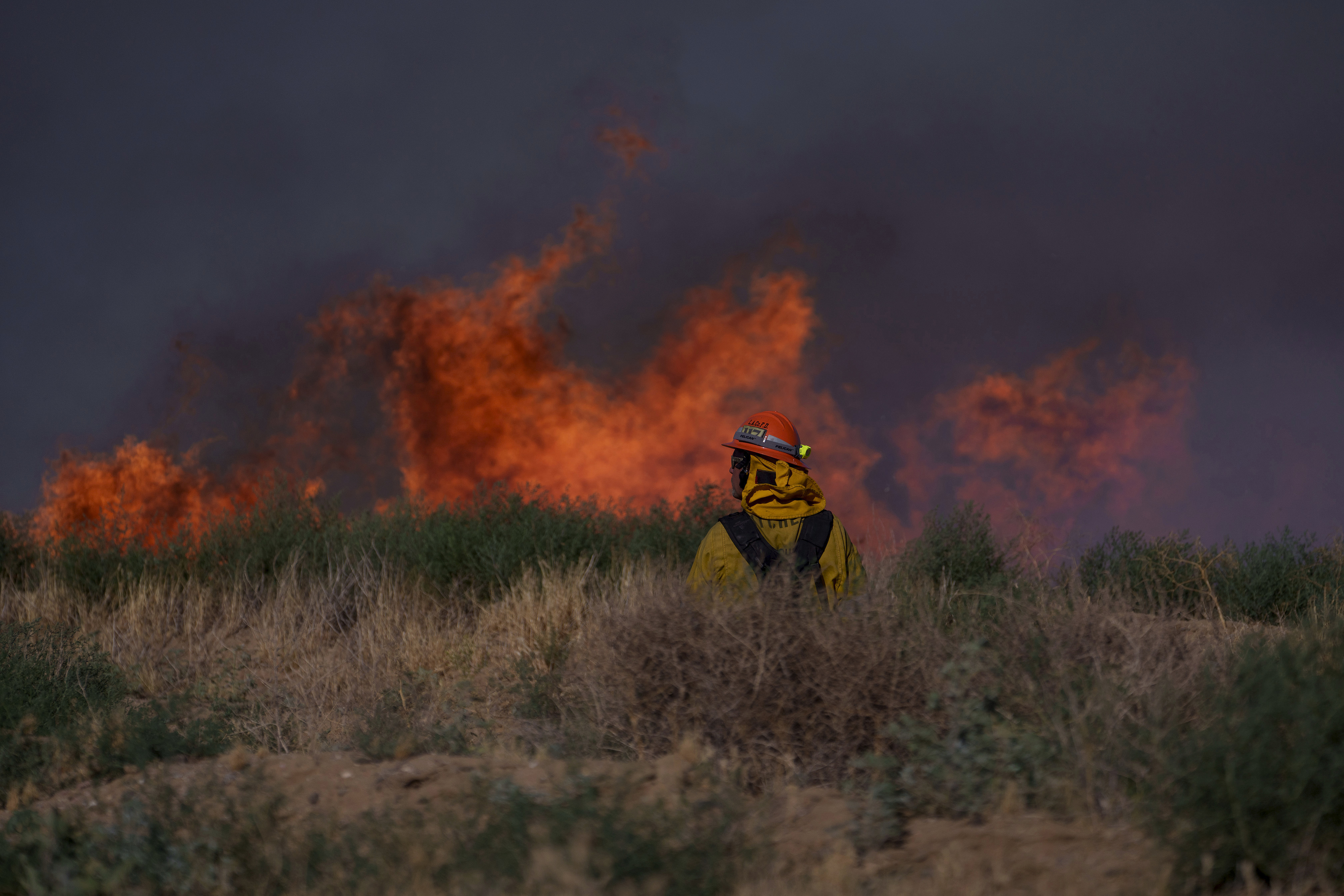 A firefighter looks at flames from the Max Fire on Sunday, June 16, 2024, in Lancaster, Calif. (AP Photo/Eric Thayer)