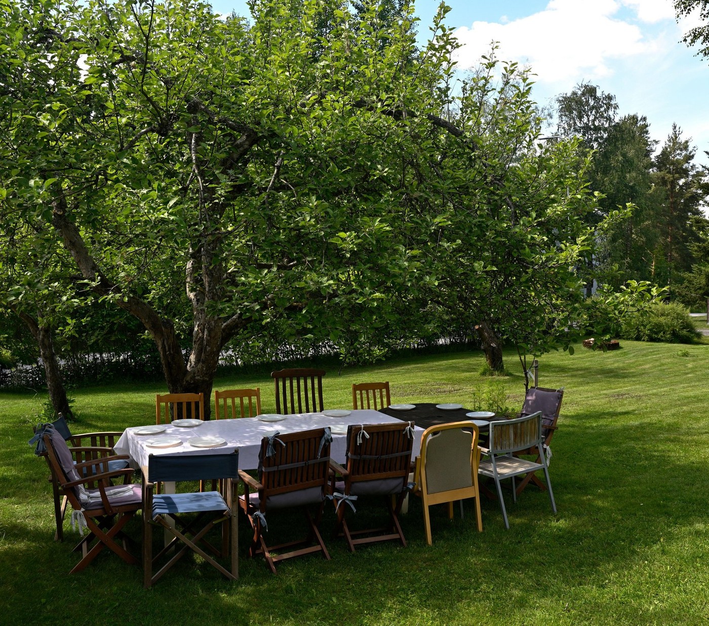 Image: 895124068, License: Royalty-free, Restrictions: , Model Release: no, Credit line: Mikhail Olykaynen / Alamy / Alamy / Profimedia