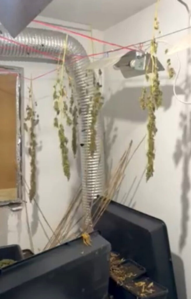 MUP-Saopstenje-Hapsenje-Droga