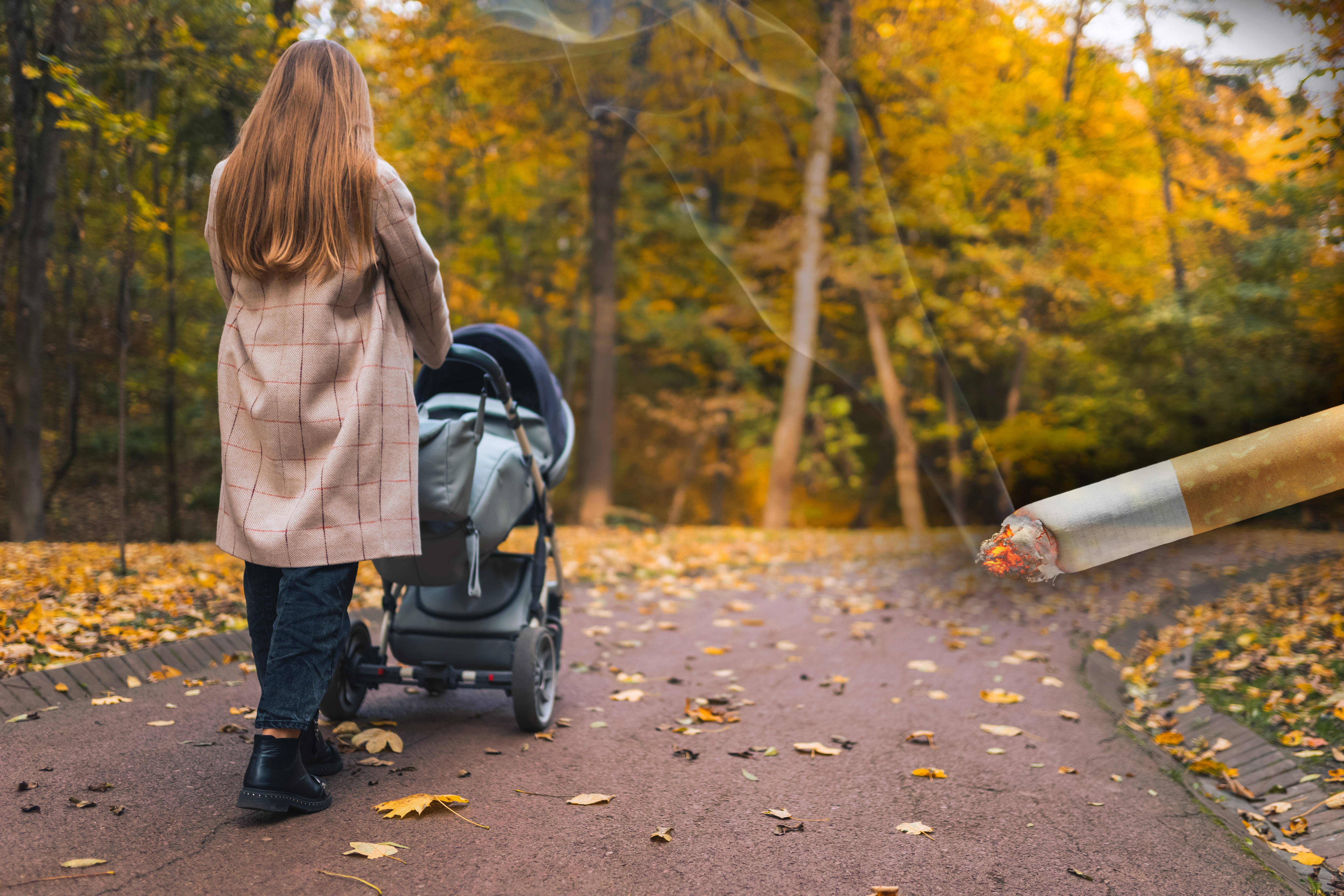 Mother,With,Baby,Stroller,Walks,In,The,Autumn,Park,,Back