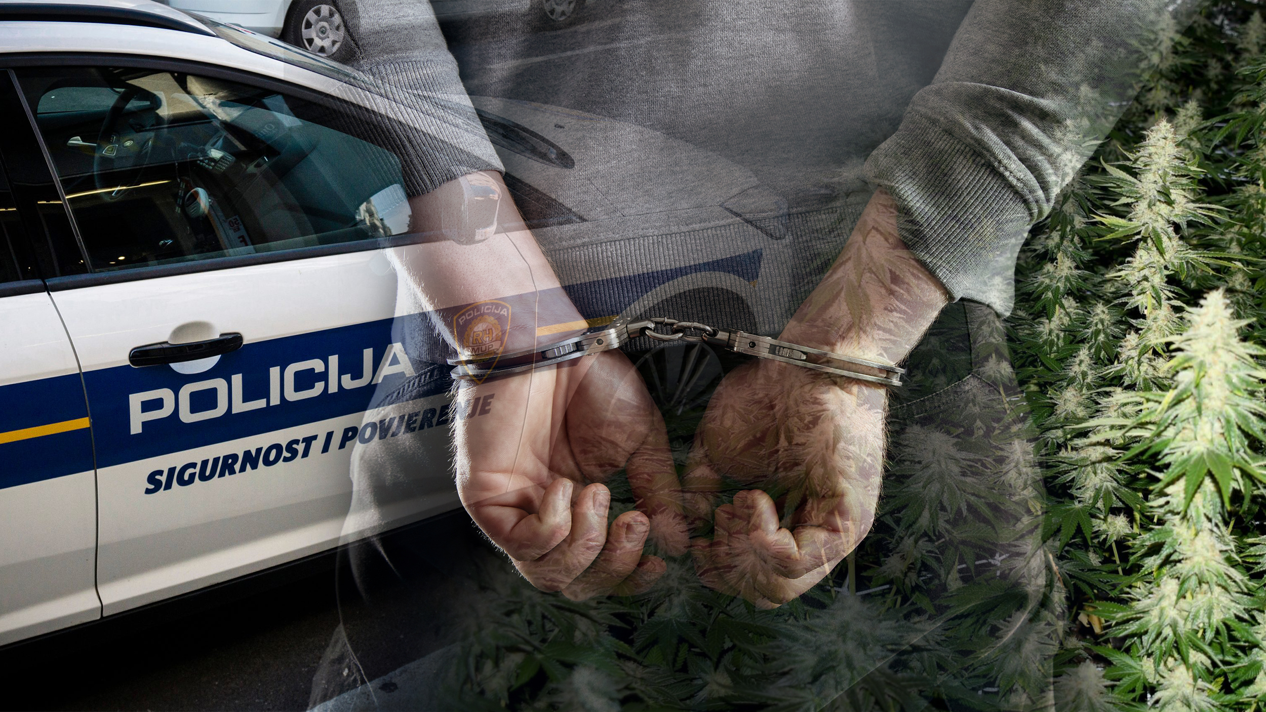 hapsenje hrvatska droga Srbin "pao" u Hrvatskoj sa 600 kilograma droge: Zaplenjeni narkotici vredni milion evra, u tajnoj vikendici zatečeno i oružje