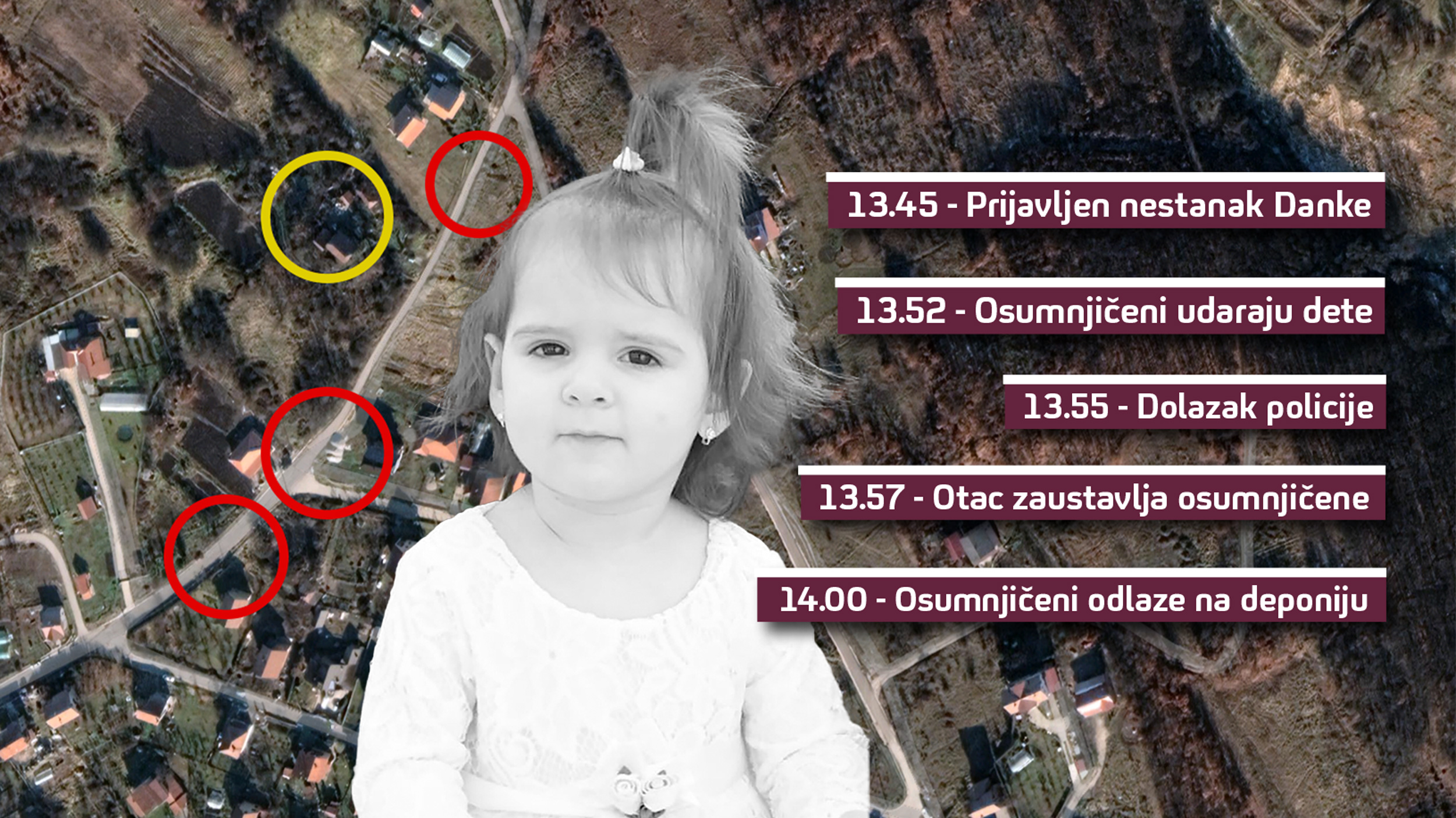 Rekonstrukcija, Danka ilič