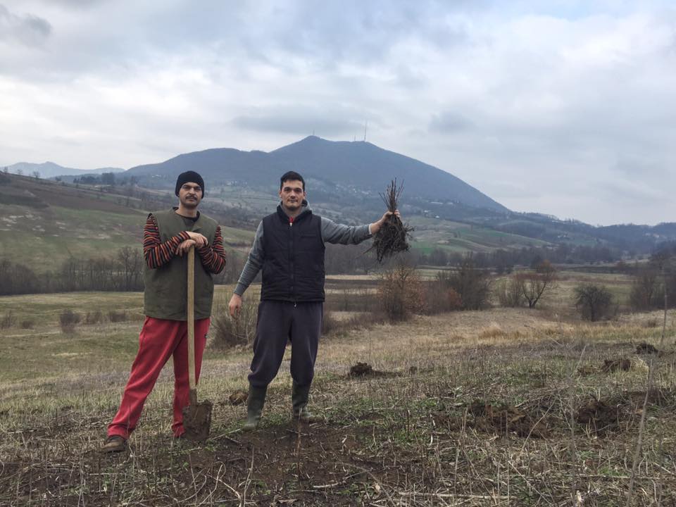 Stefan Drljača iz Čačka koji je pre nekoliko godina zasadio šumu, Čačak, šuma Foto: Privatna arhiva