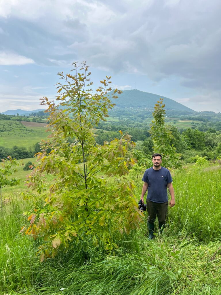 Stefan Drljača iz Čačka koji je pre nekoliko godina zasadio šumu, Čačak, šuma Foto: Privatna arhiva