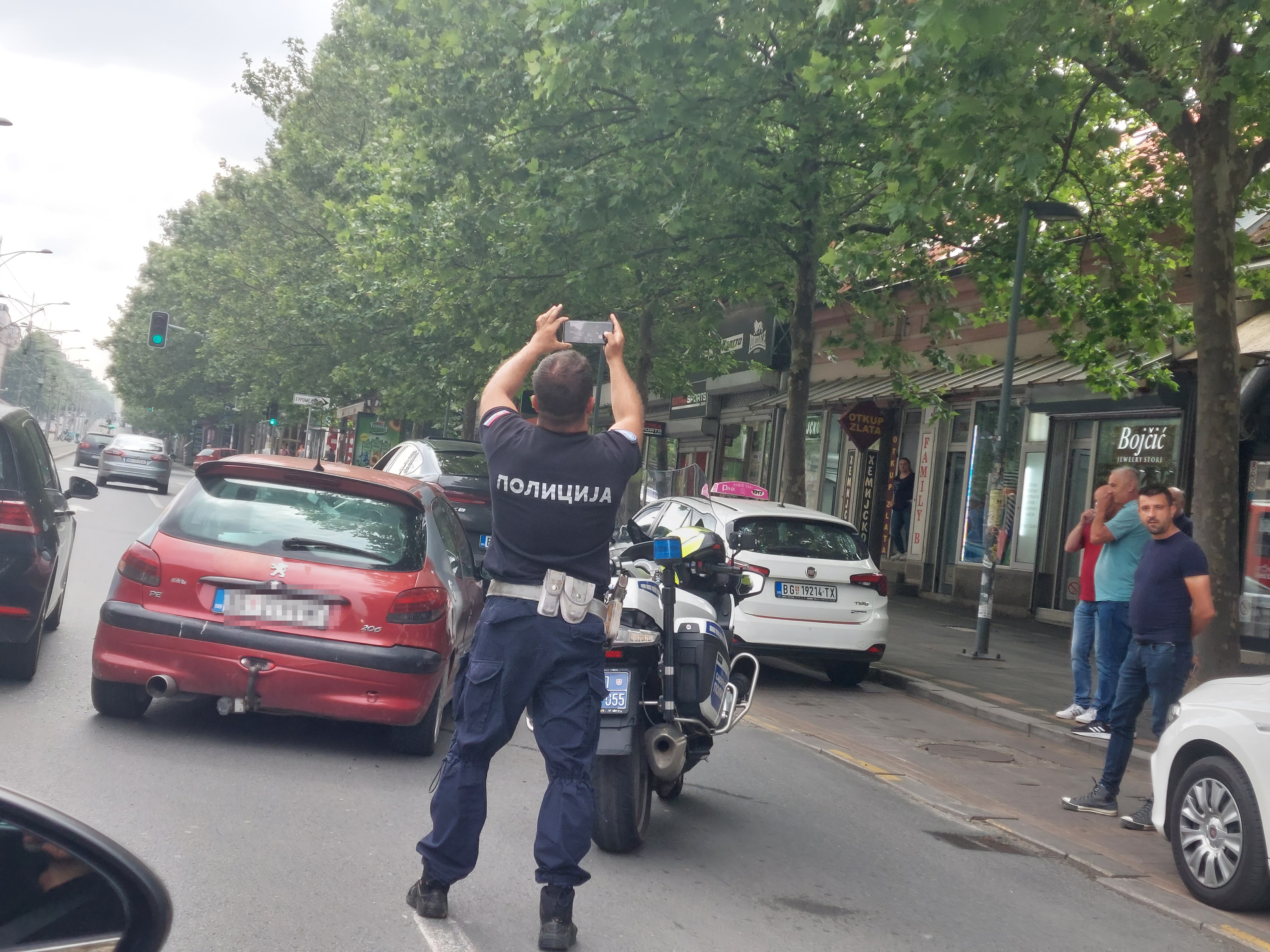 Udes u Bulevaru kralja Aleksandra