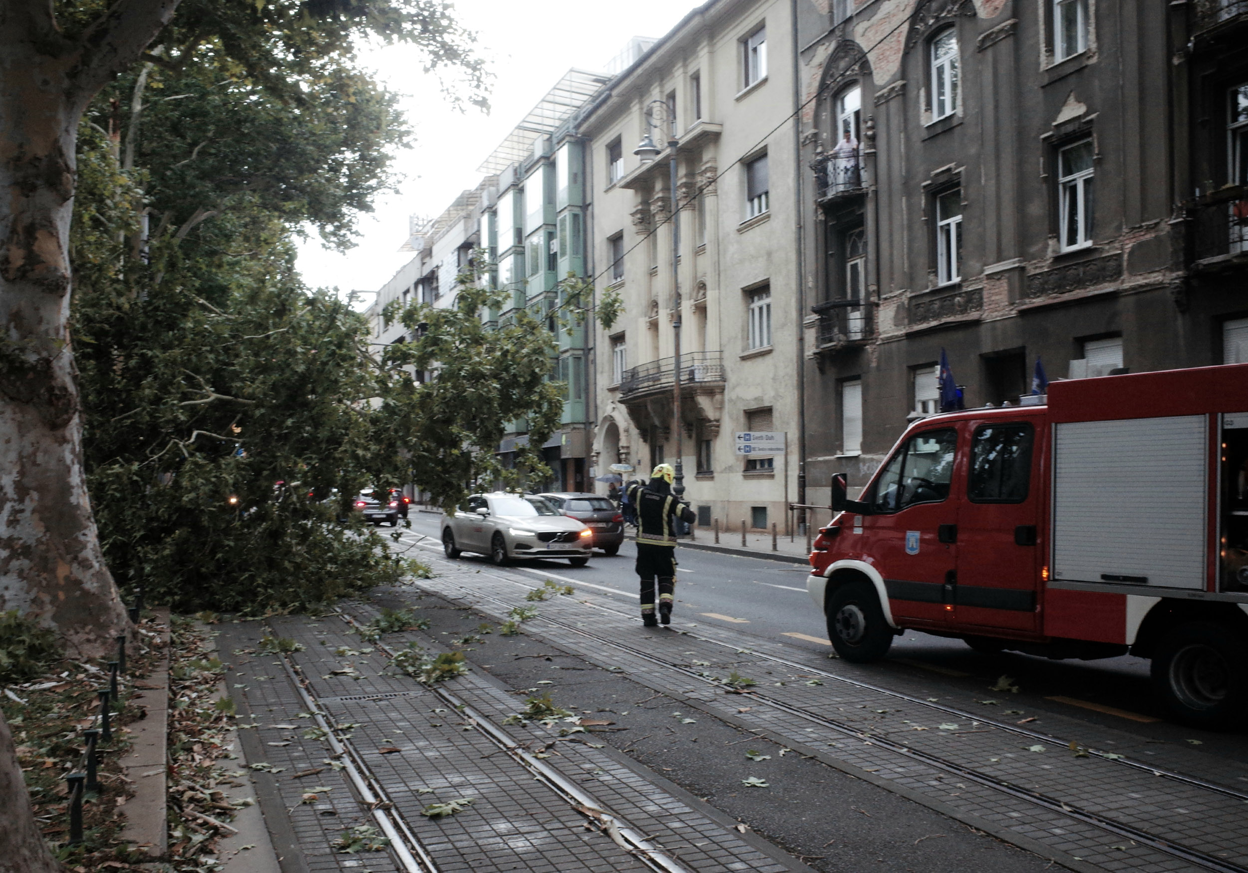 SRUPŠENO STABLO U ZGREBU