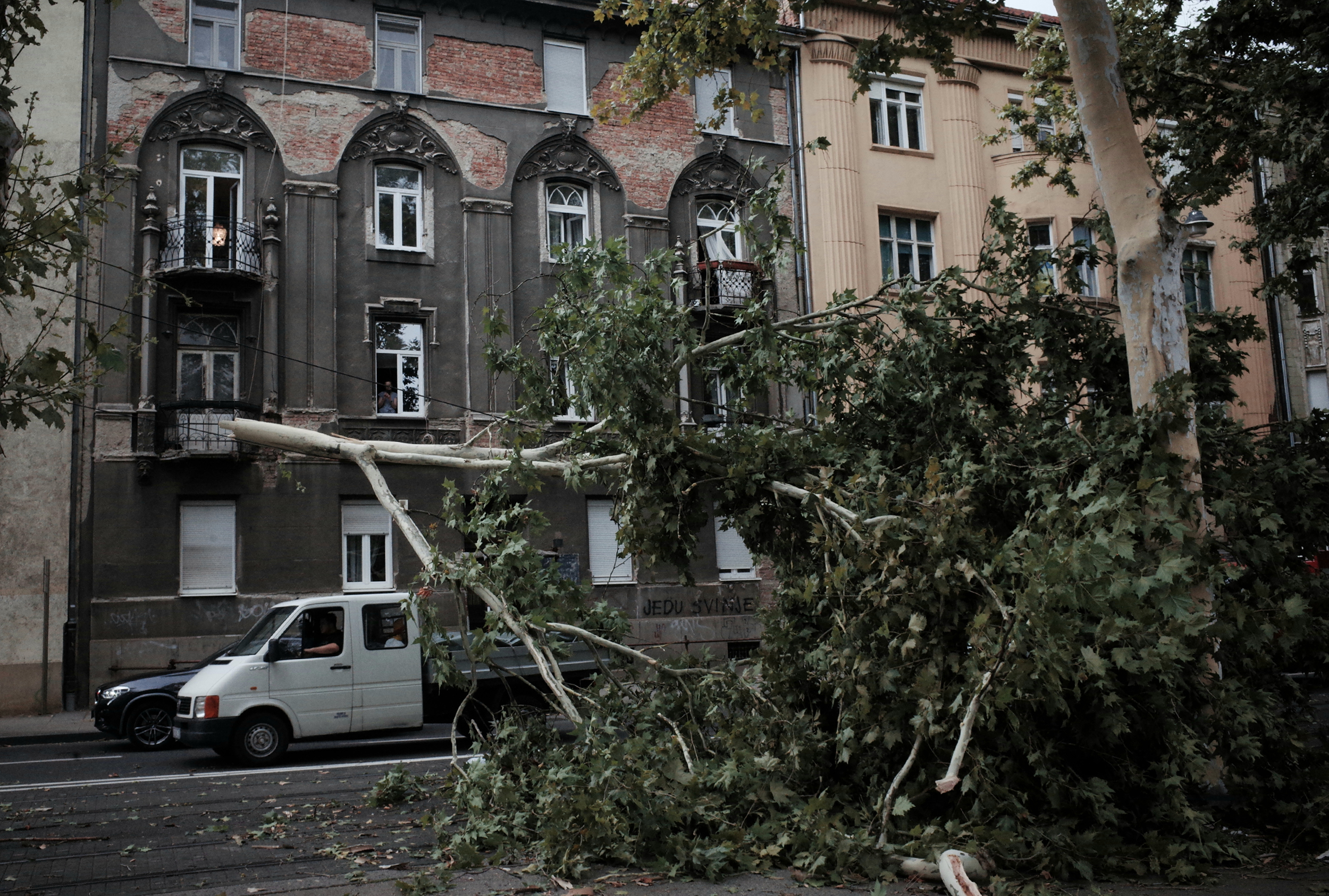 SRUPŠENO STABLO U ZGREBU