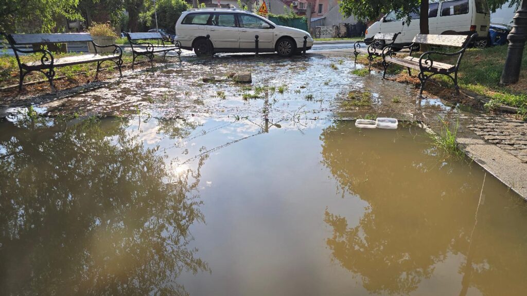 stanari ulice Živka Davidovića na Zvezdari već duže vreme imaju problem sa kanalizacijom koja se neprekidno izliva kod Pašine česme, na platou ispred stambenih zgrada  Foto: FoNet/Marko Dragoslavić