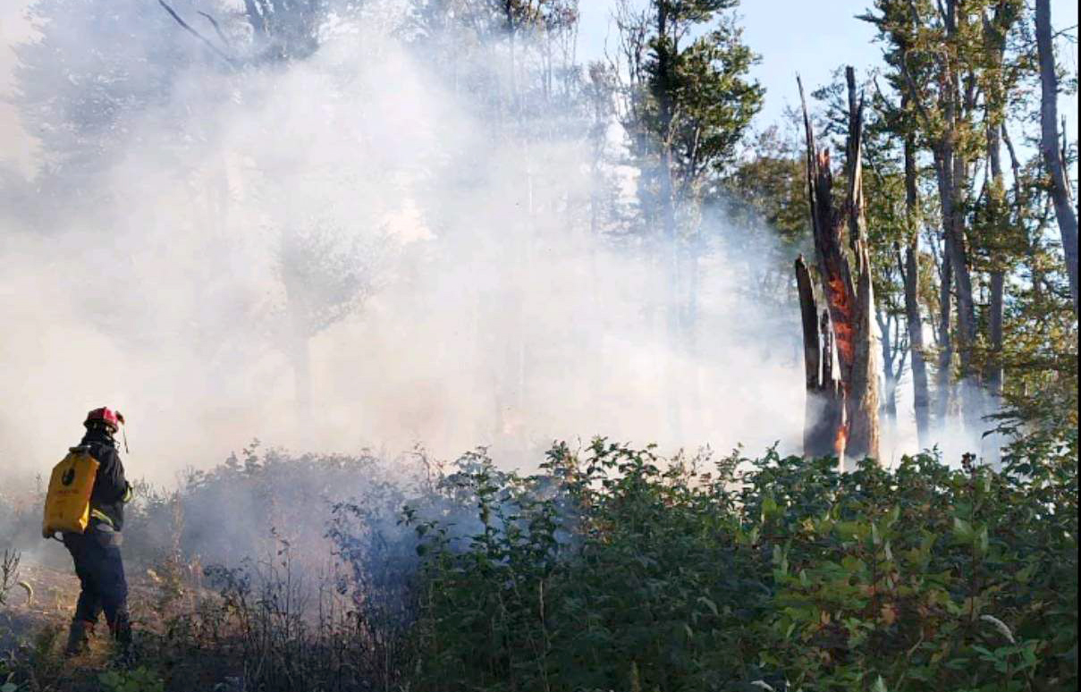 Požar, požar na otvorenom prostoru, šumski požar, gašenje, vatrogasci, gašenje požara Foto: MUP