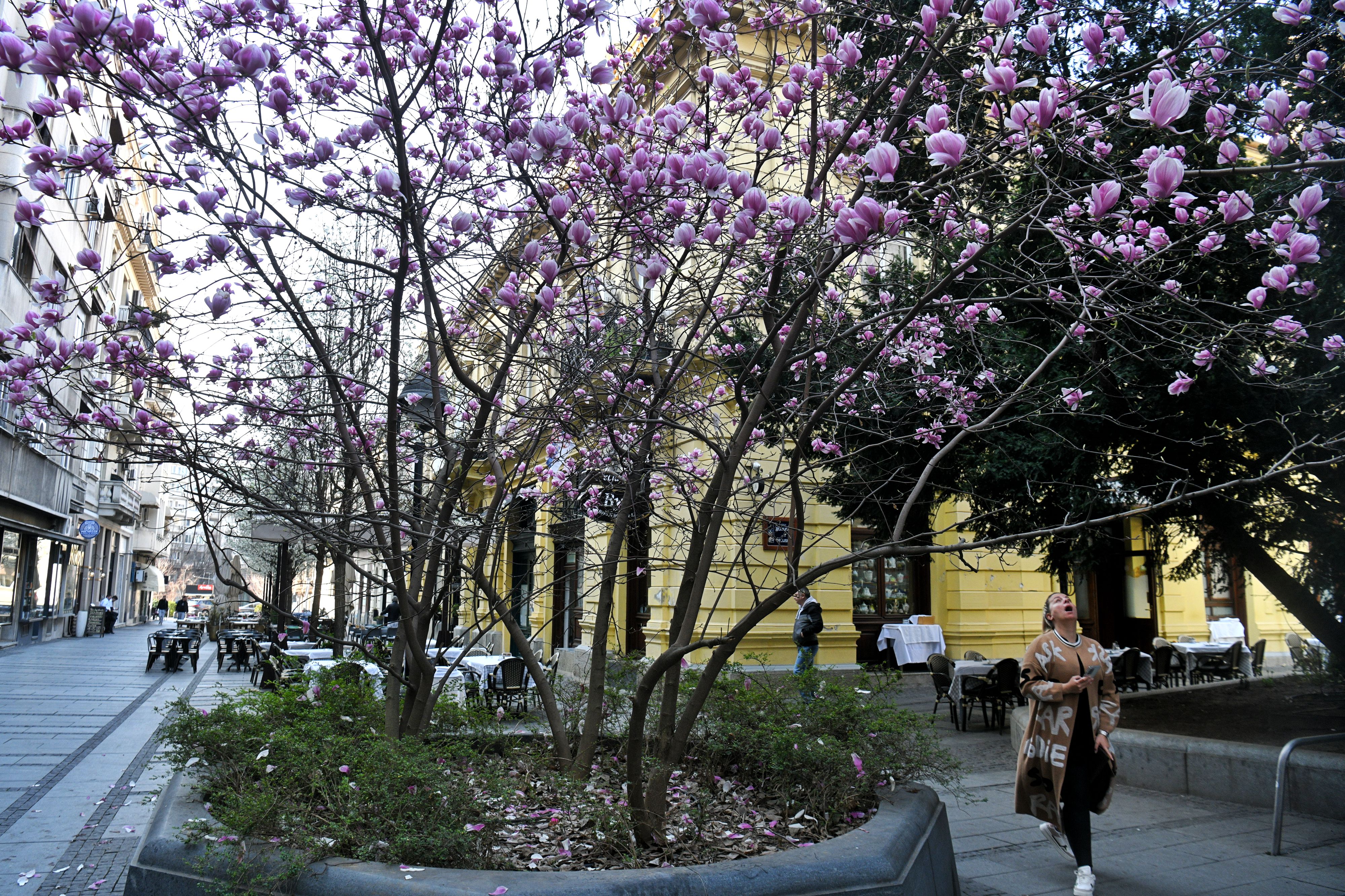 Lepo vreme (3) foto filip kraincanic