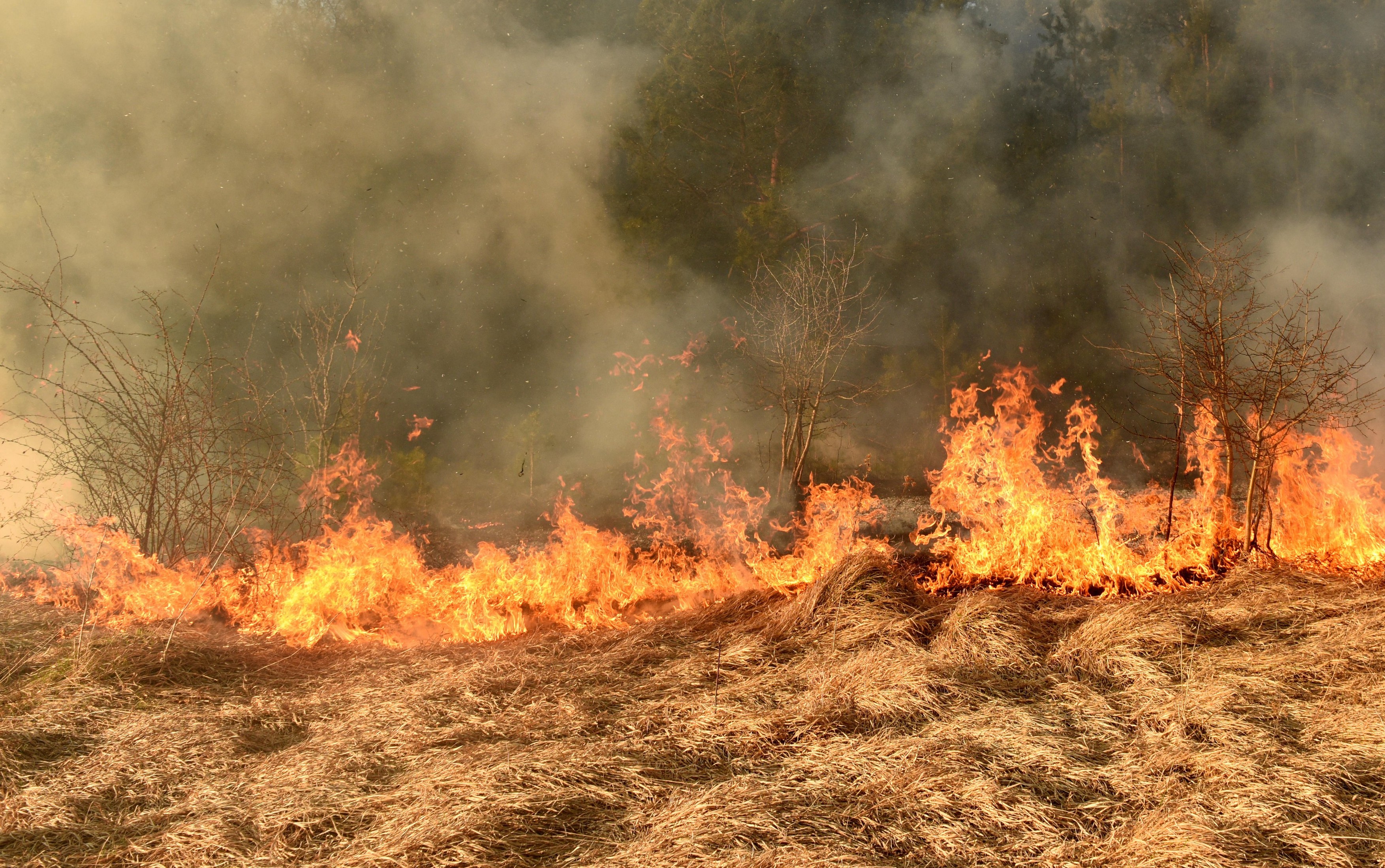 Image: 422569645, License: Royalty-free, Restrictions: , Model Release: no, Credit line: Bumble Dee / Alamy / Alamy / Profimedia