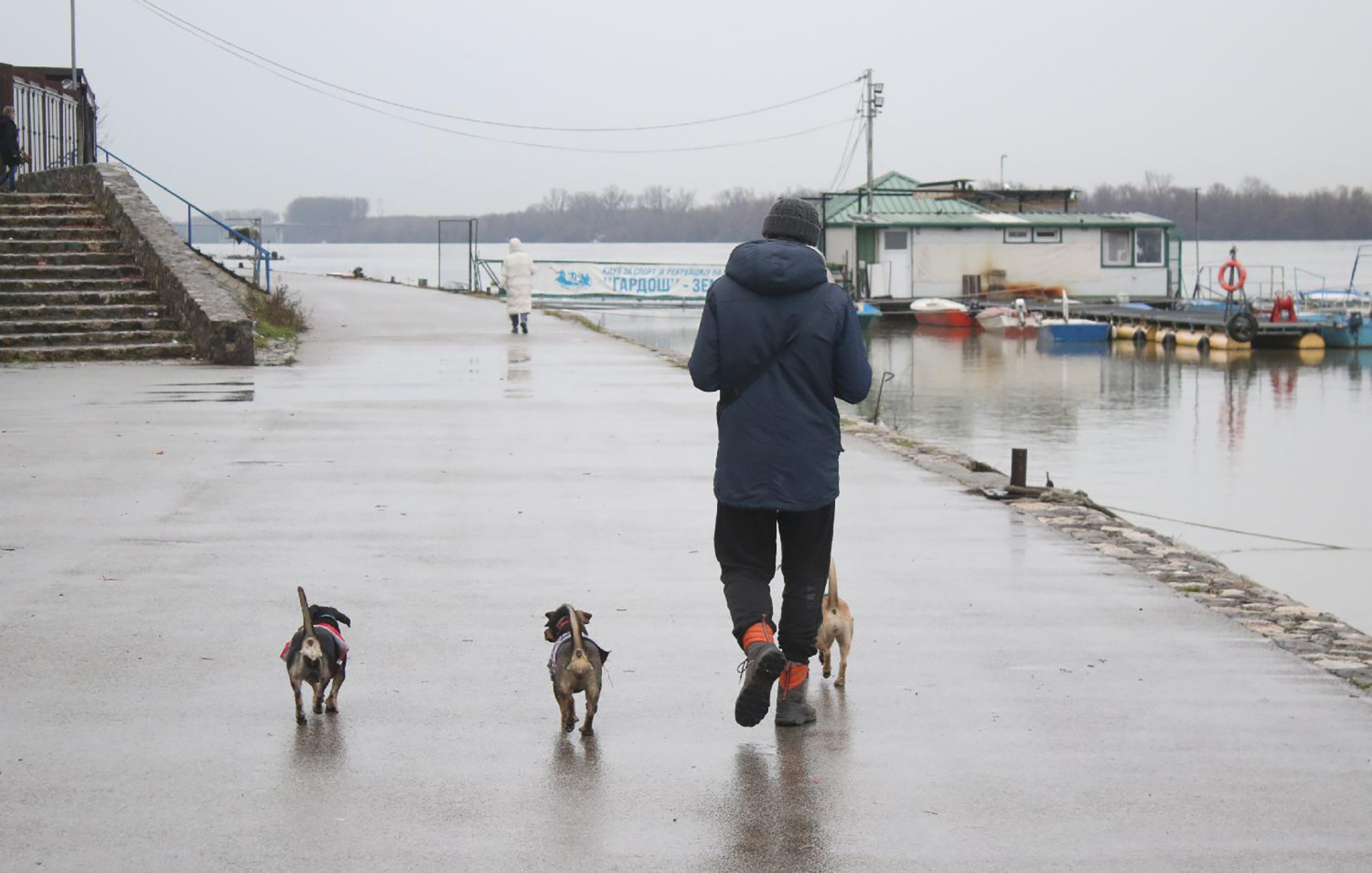 vreme kuce setnja kisa reka Mesto: Beograd
Datum: Wed Jan 03 16:43:03 CET 2024
Dogadjaj: DRUŠTVO - posle praznična atmosfera - obala reke
Fotoreporter: Zoran Mrđa
Izvor: FoNet