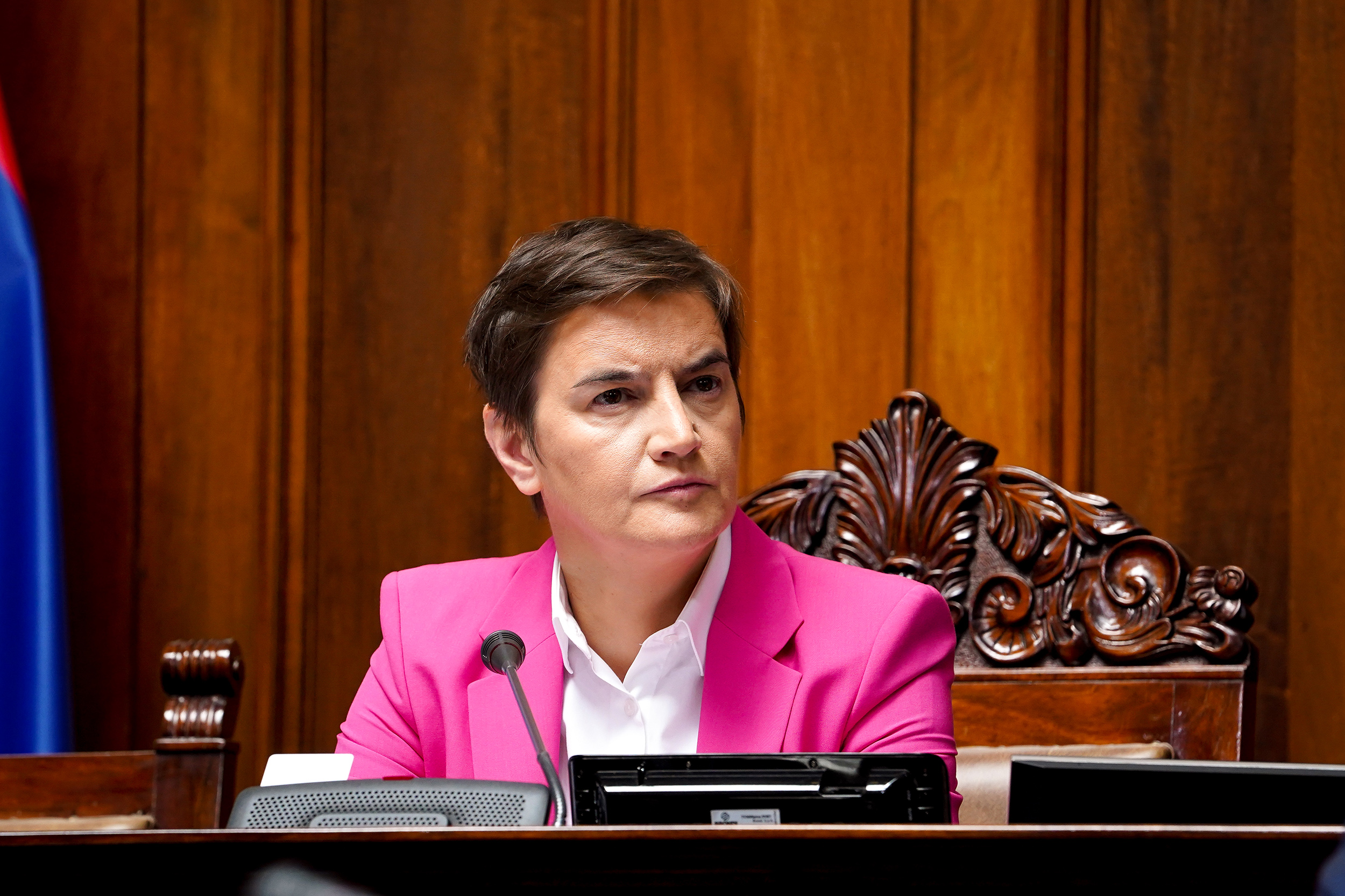 ANA BRNABIĆ