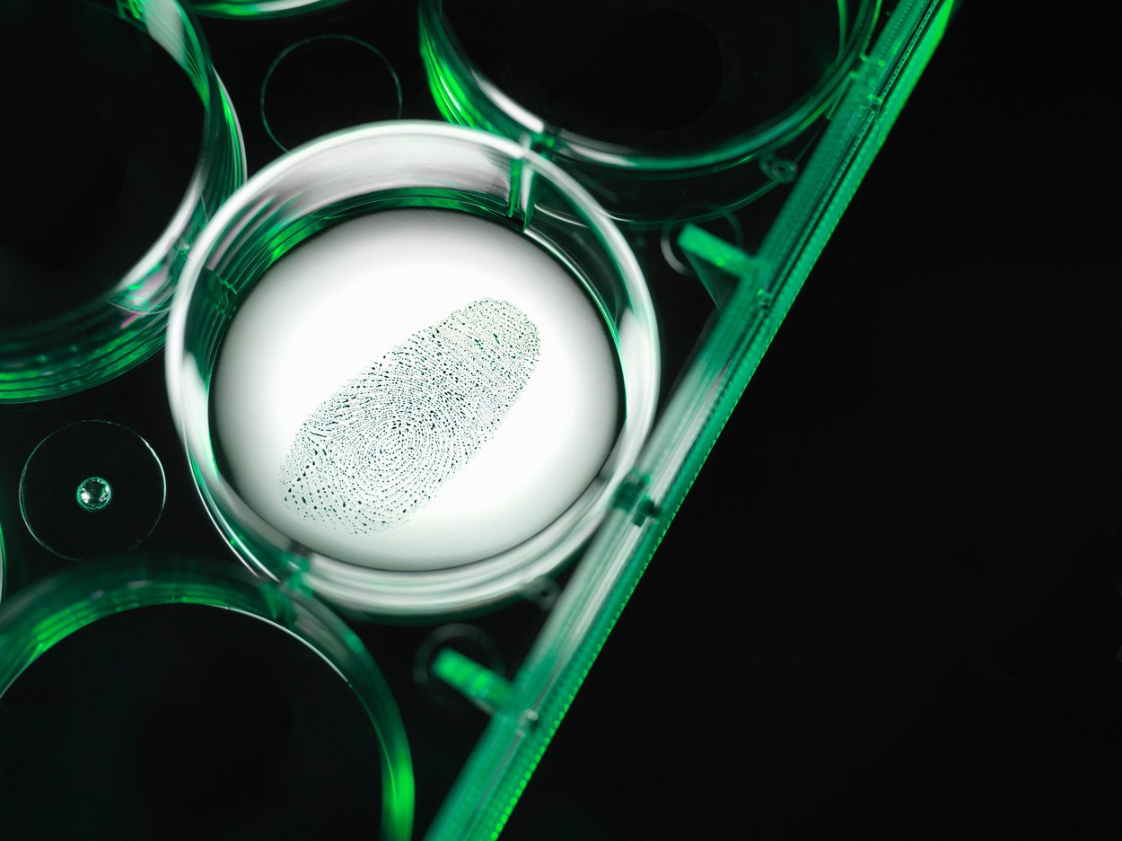 Close up of finger print in forensic lab