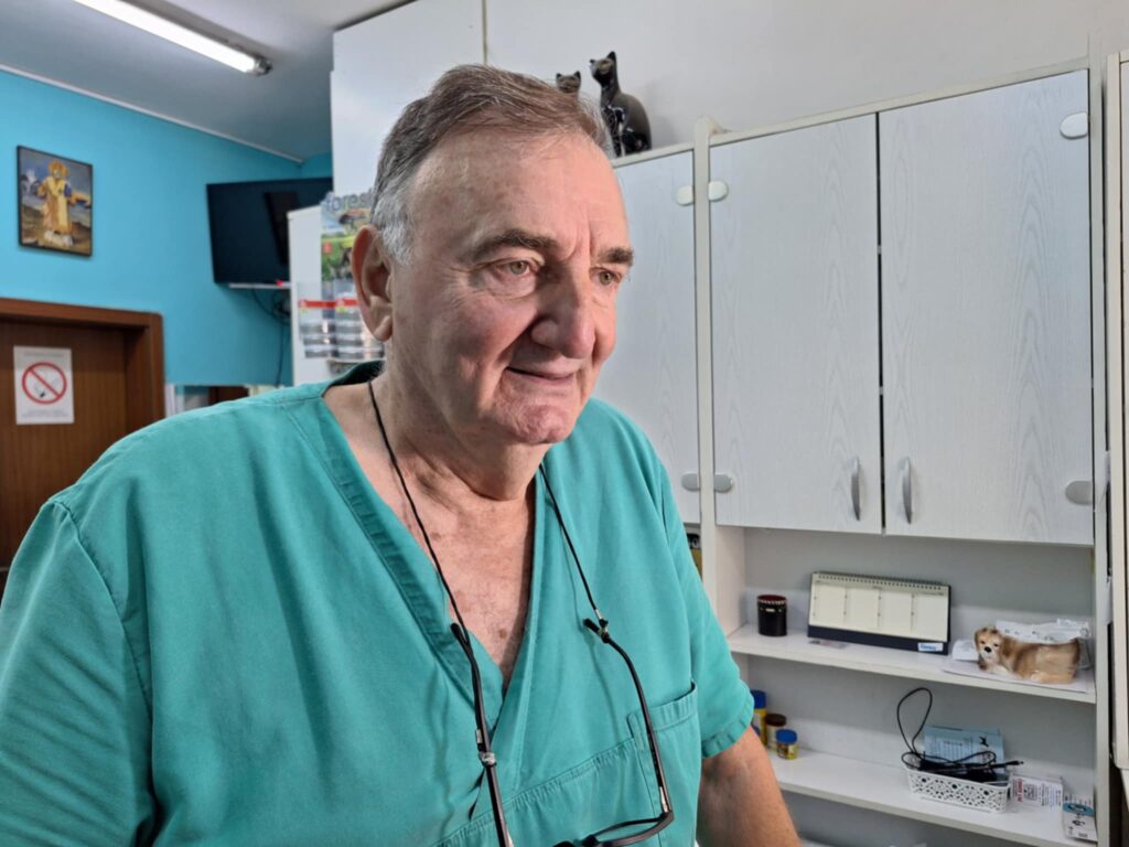 Svinja napala ženu, napad svinje, svinjski napad Foto: Miljana Isailović/Nova.rs