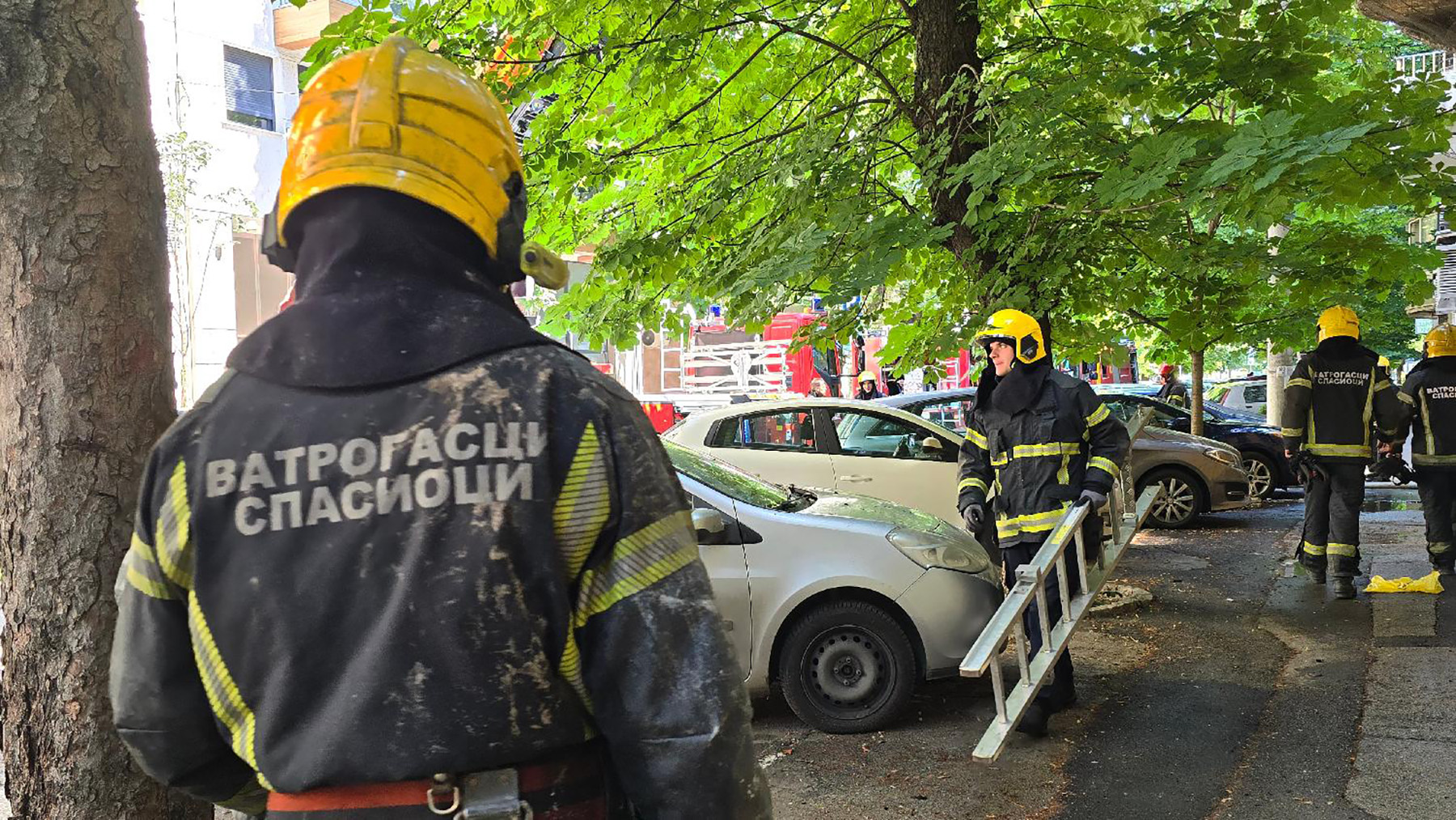 Mesto: Beograd
Datum: Mon May 13 11:45:08 CEST 2024
Dogadjaj: HRONIKA - Vatrogasci na mestu požara koji je izbio jutros u Carigradskoj ulici u centru Beograda
Fotoreporter: Marko Dragoslavić
Izvor: FoNet