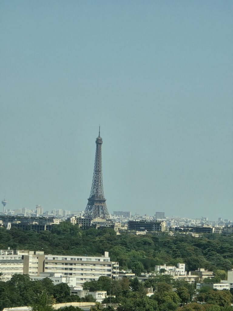 Pogled iz voza L na Pariz 
Ajfelov toranj