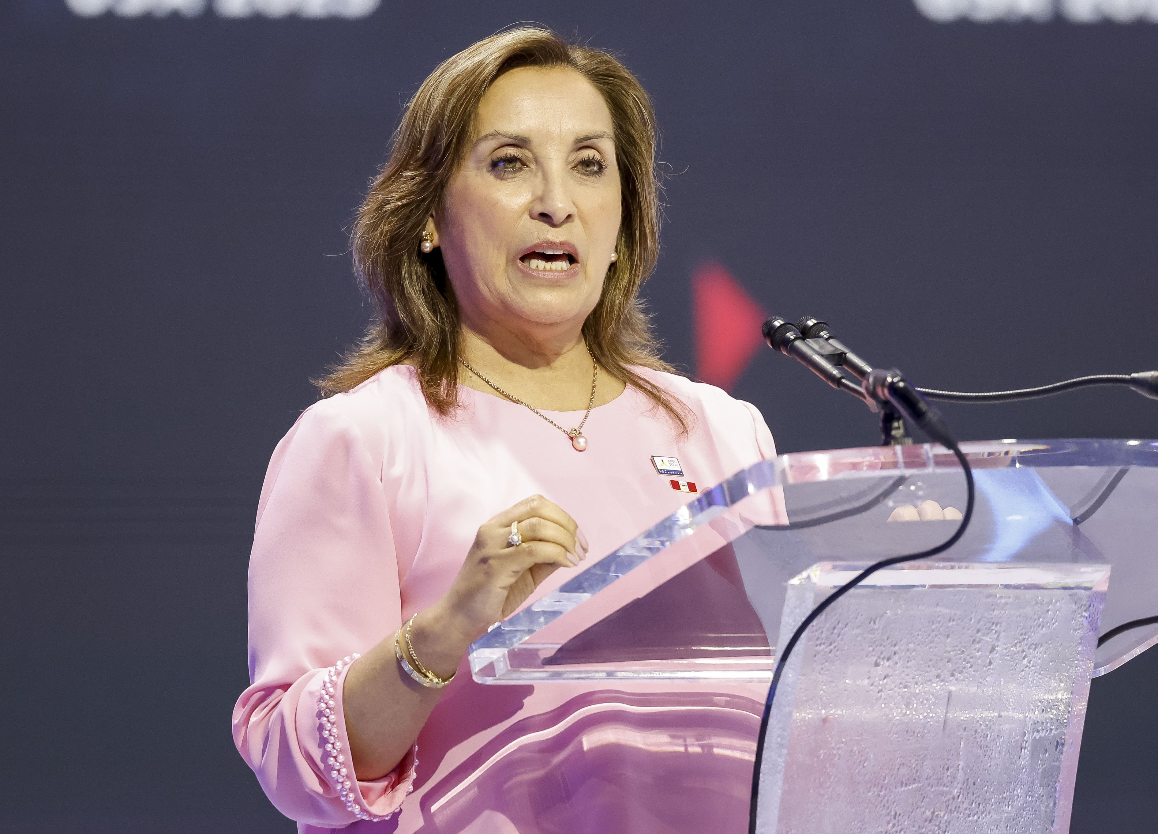 APEC CEO Summit at APEC Conference in San Francisco