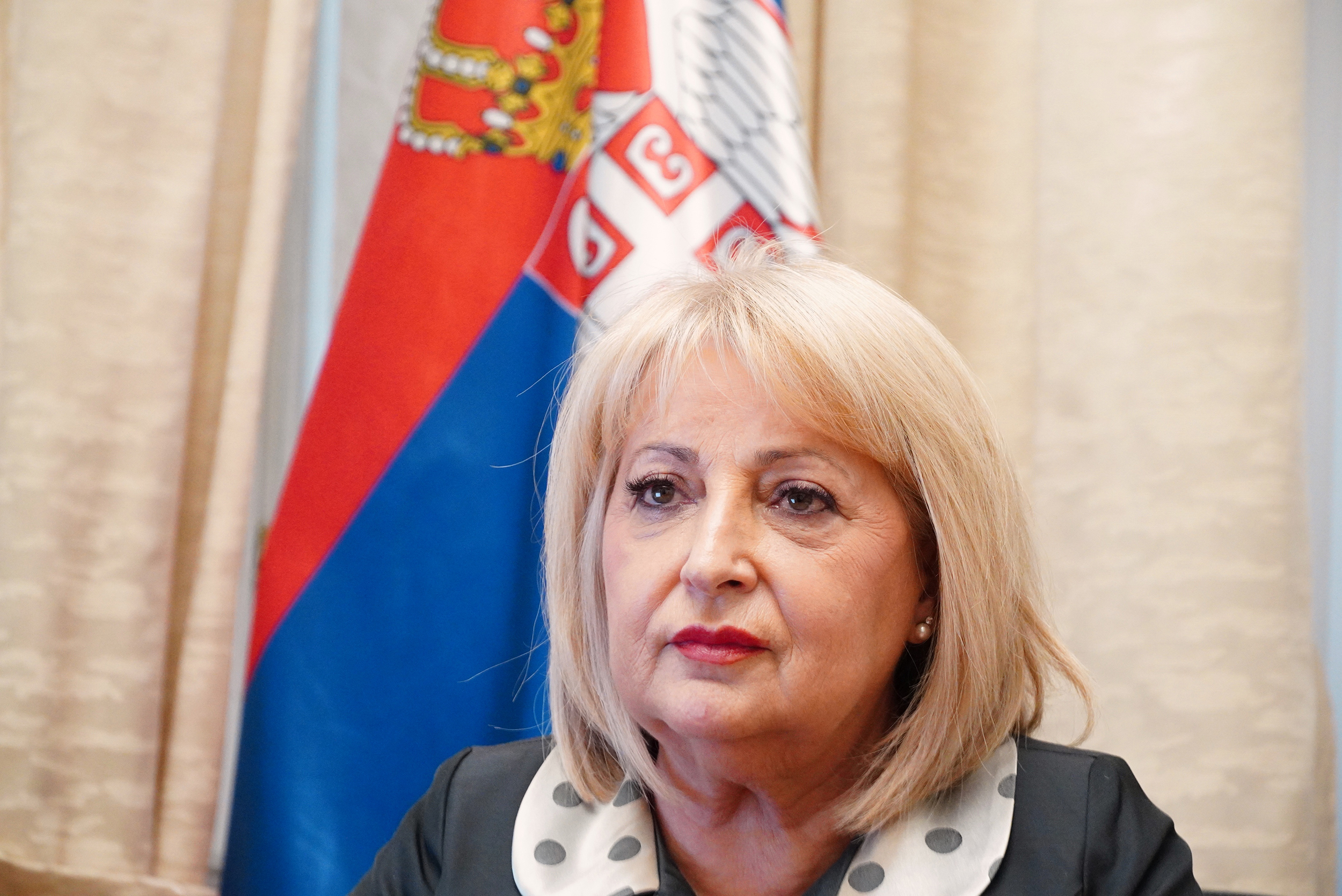 SLAVICA ĐUKIĆ DEJANOVIĆ