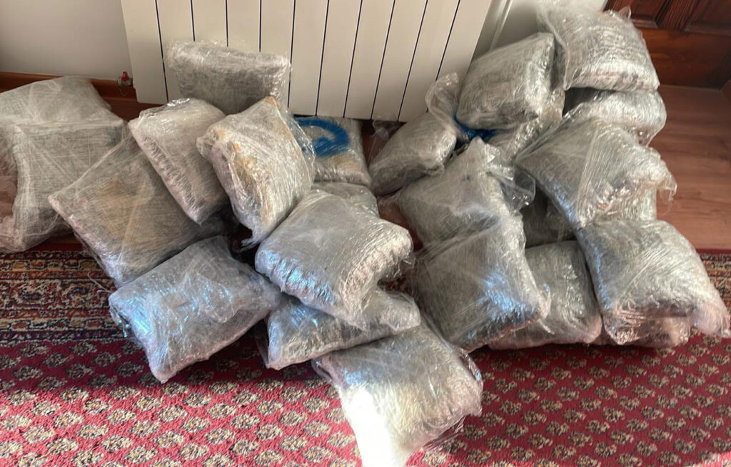 Droga, marihuana, trava, zaplena Foto: MUP