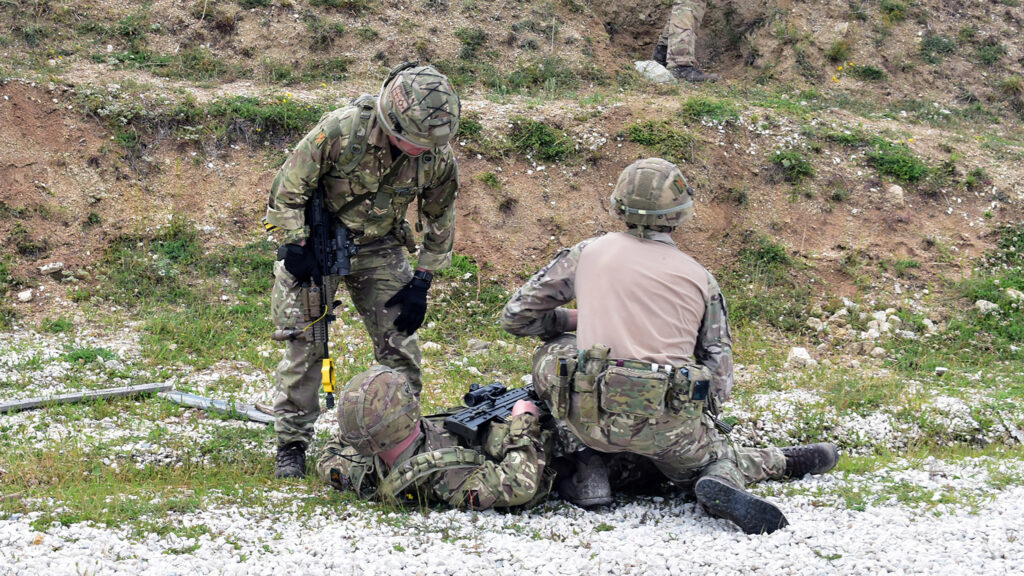 vojna vezba srbija nato alijansa  platinasti vuk