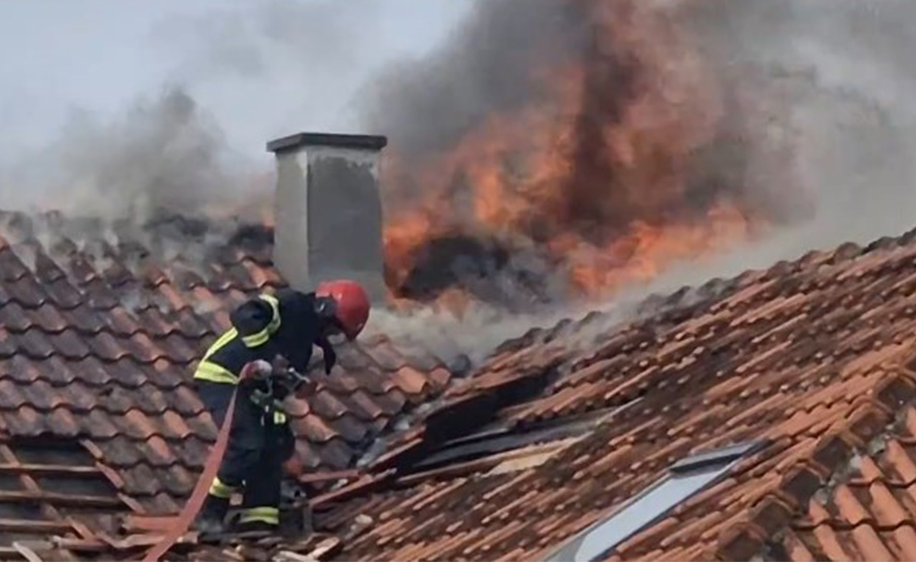novi sad veternik požar