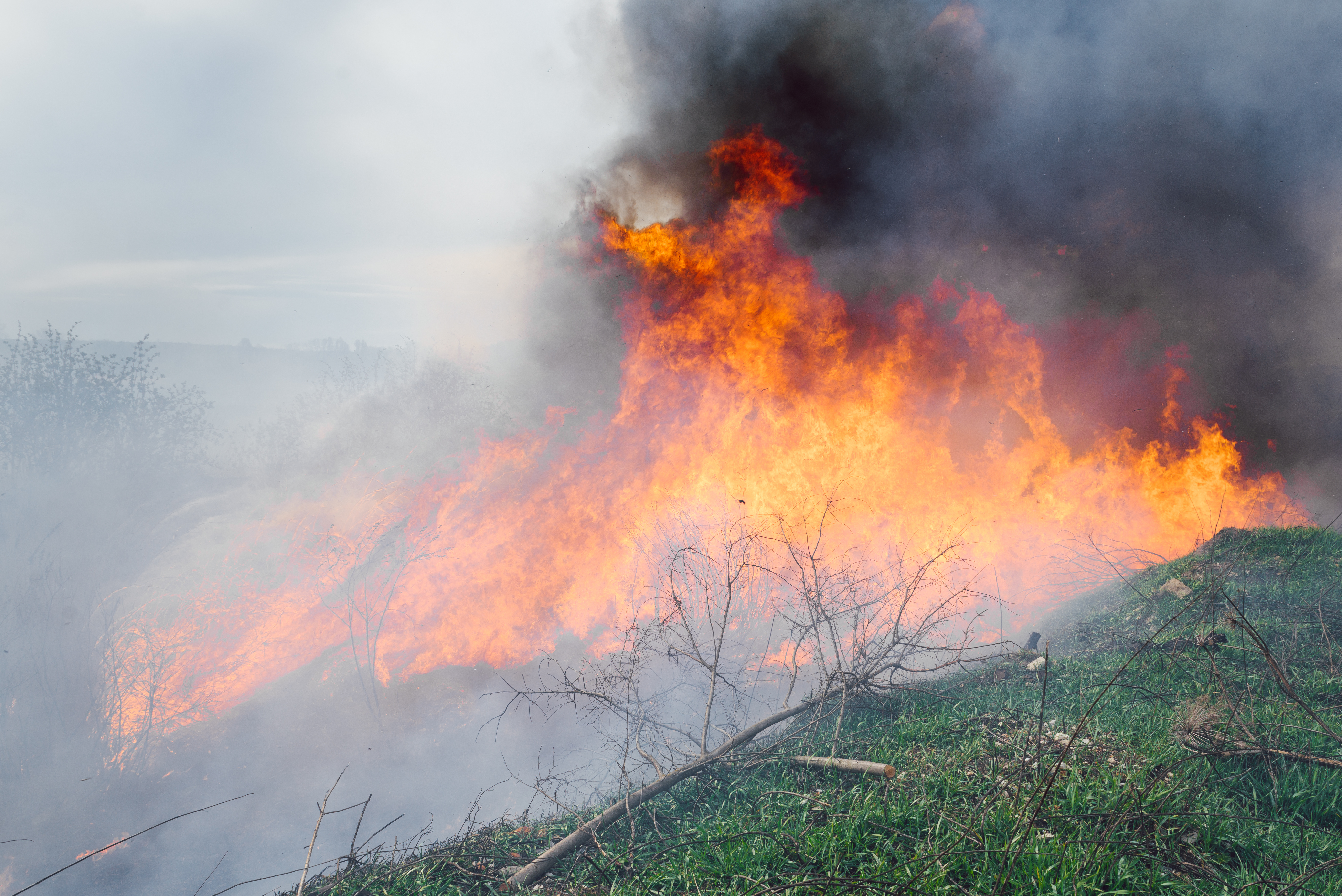 shutterstock_1728034603