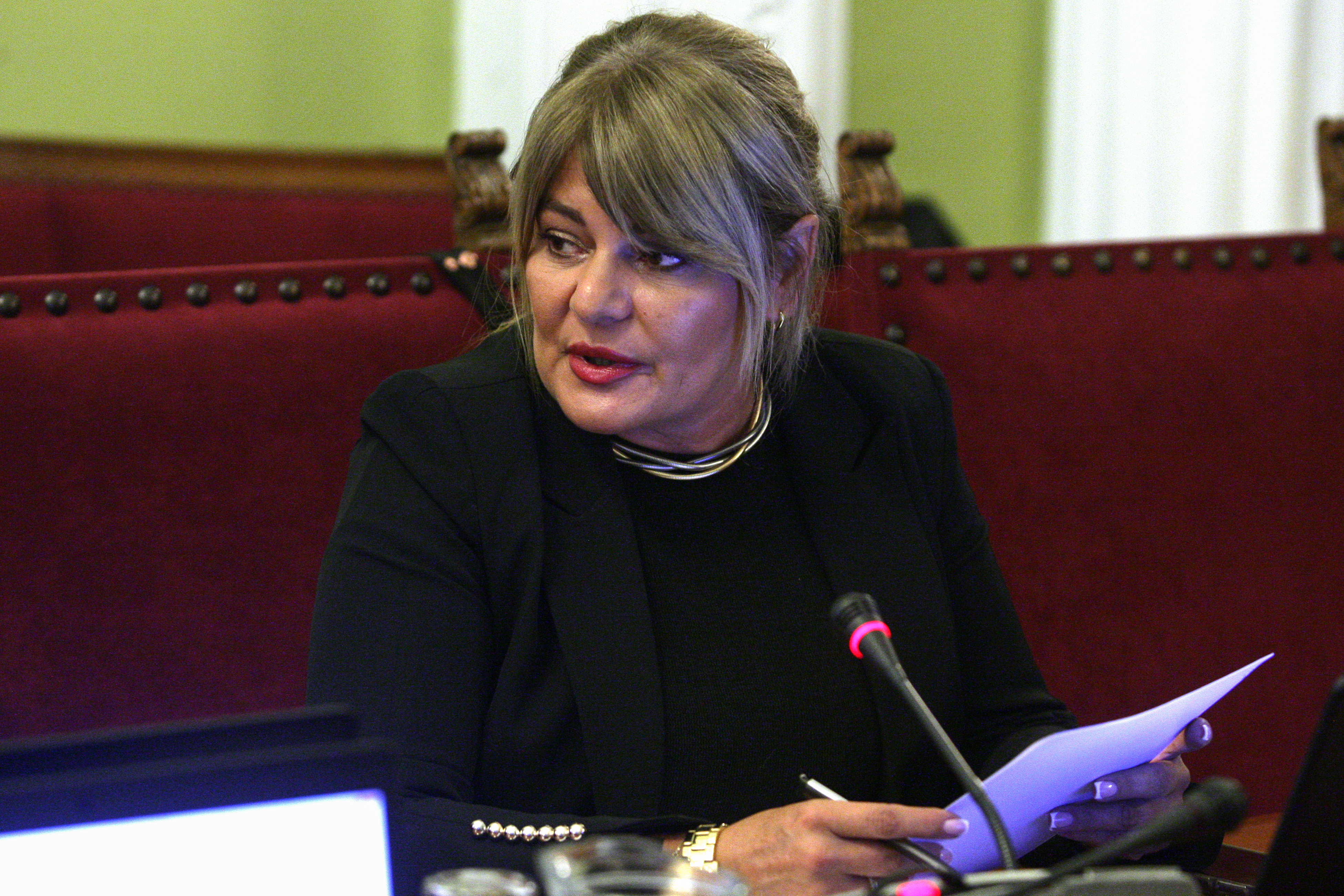 Beograd, 30. septembra 2024.- Sednica Odbora za ustavna pitanja i zakonodavstvo. U ime predlagaèa obratila se Danijela Nestoroviæ iz poslanièke grupe Narodni pokret Srbije  Ekoloki ustanak  Novo lice Srbije. FOTO TANJUG/ SAVA RADOVANOVIÆ/ bs