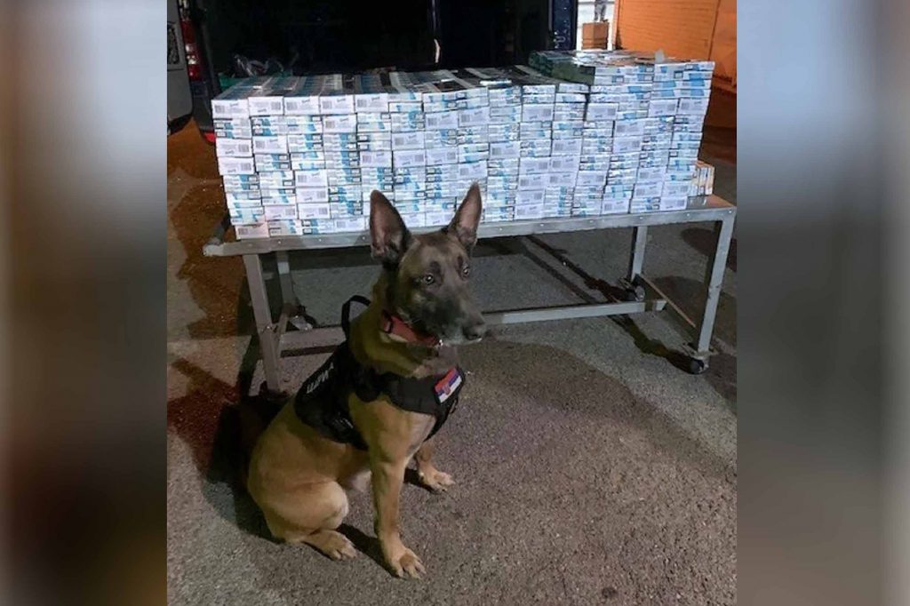 Kelebeija, granični prelaz, cigarete, šverc, krijumčarenje, Odeljenje za suzbijanje krijumčarenja, carinski pas Neron Foto: Uprava carina