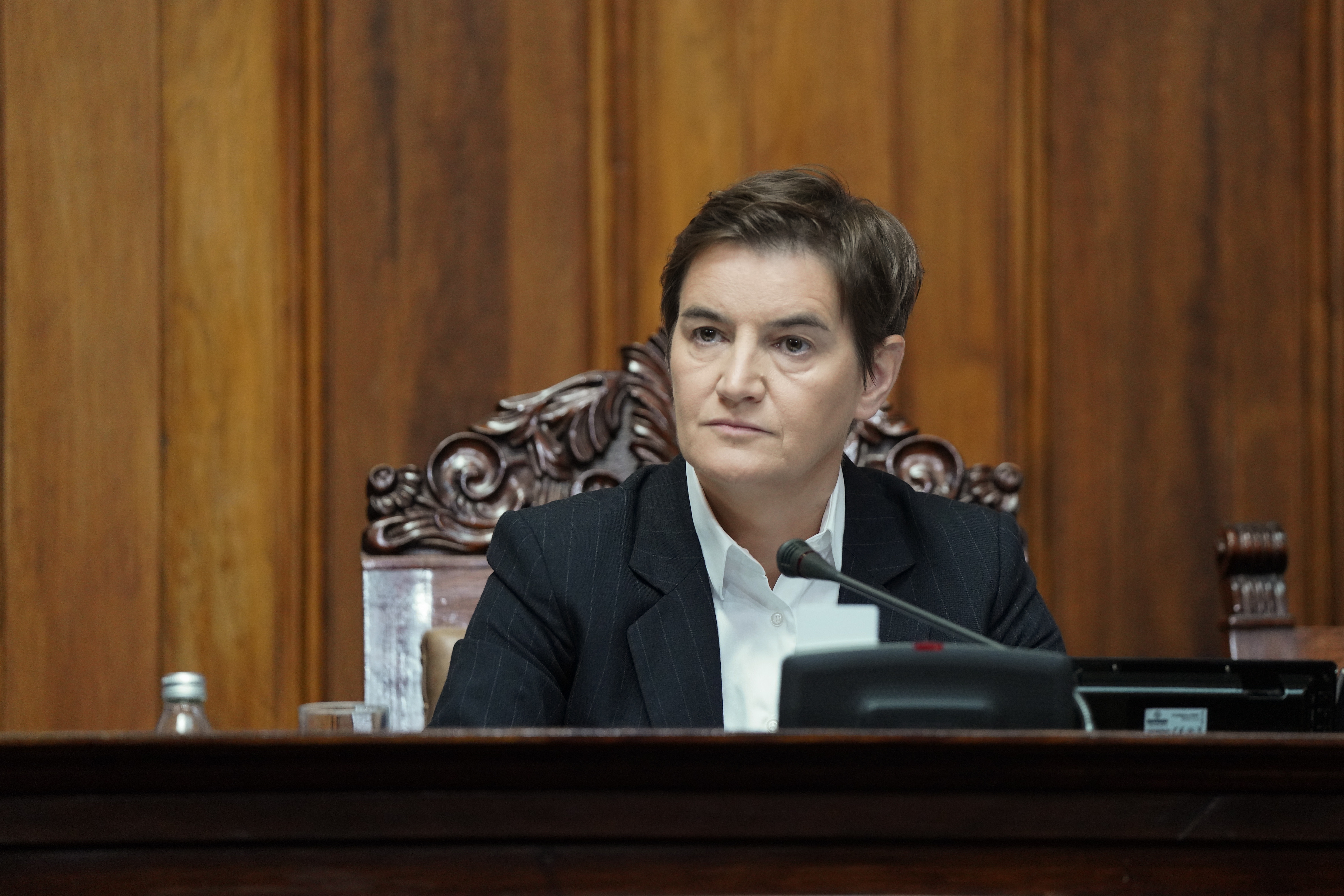 ANA BRNABIC