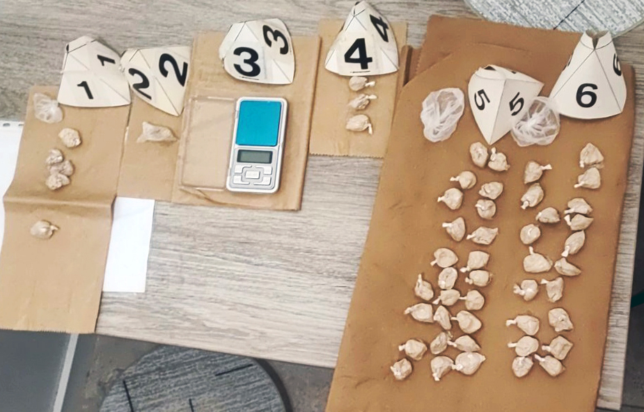 Hapšenje, zaplena, droga