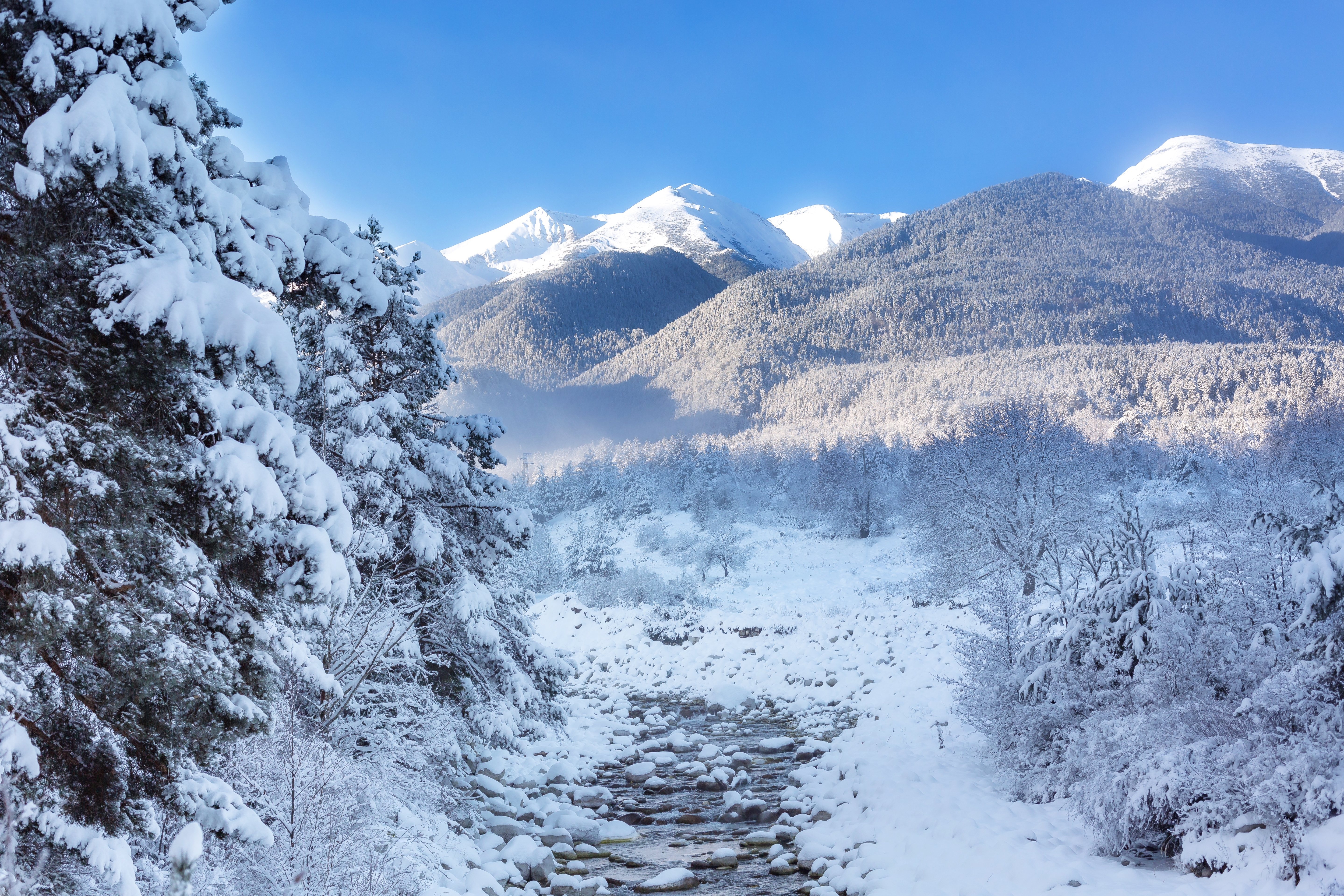 Planina Pirin