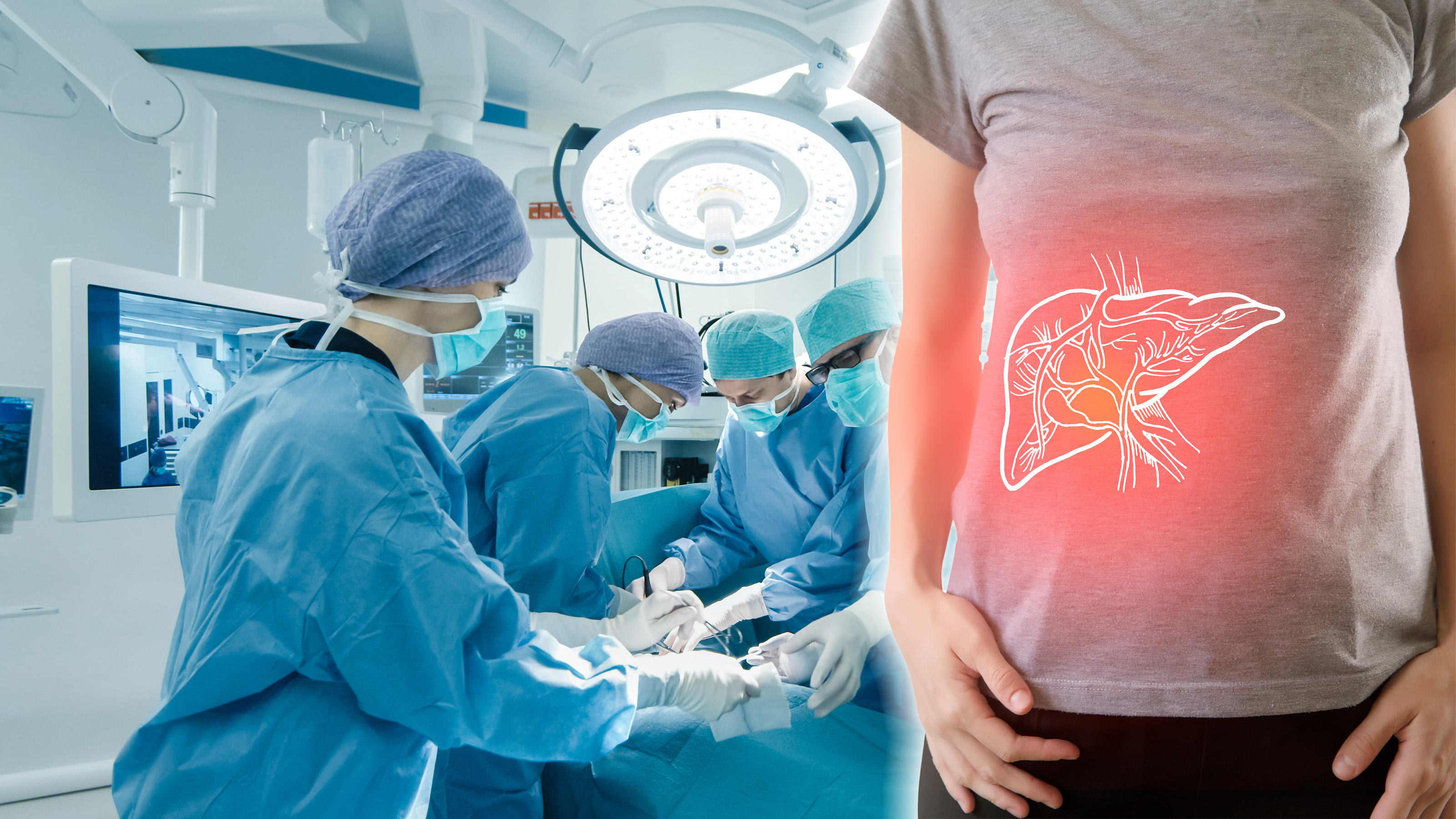 Transplantacija jetre, jetra, kombo Foto: Shutterstock