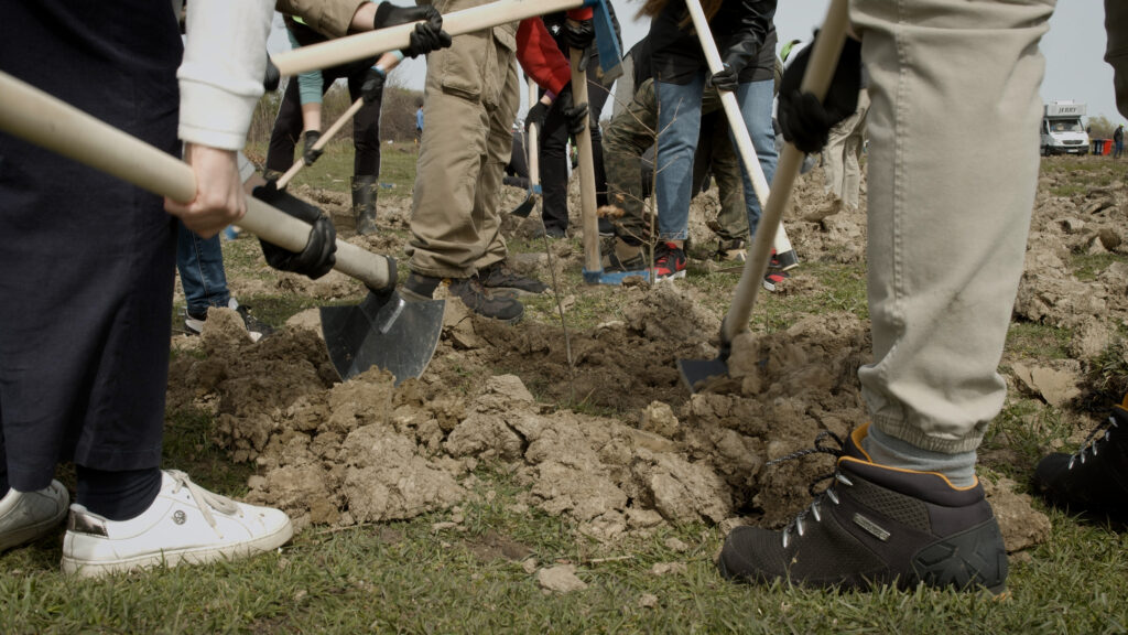 "Discover Serbia" nastavlja sa akcijama po principu uzmi stvar u svoje ruke.
Otpočeli smo pošumljavanje sa na parceli kojom gazduje Šumarski fakultet.