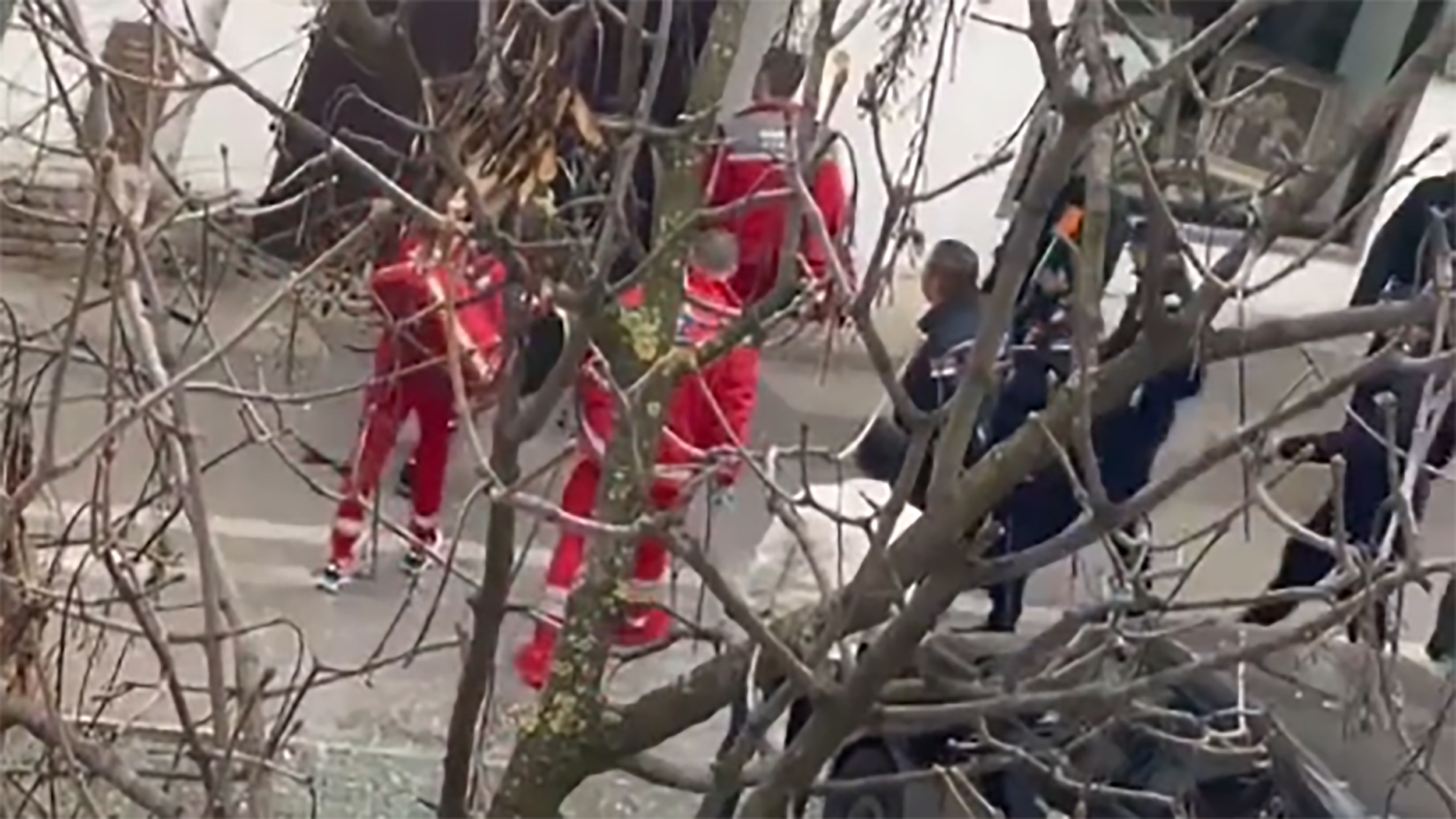 Eksplozija plinske boce u Pančevu. Nema teže povređenih lica.